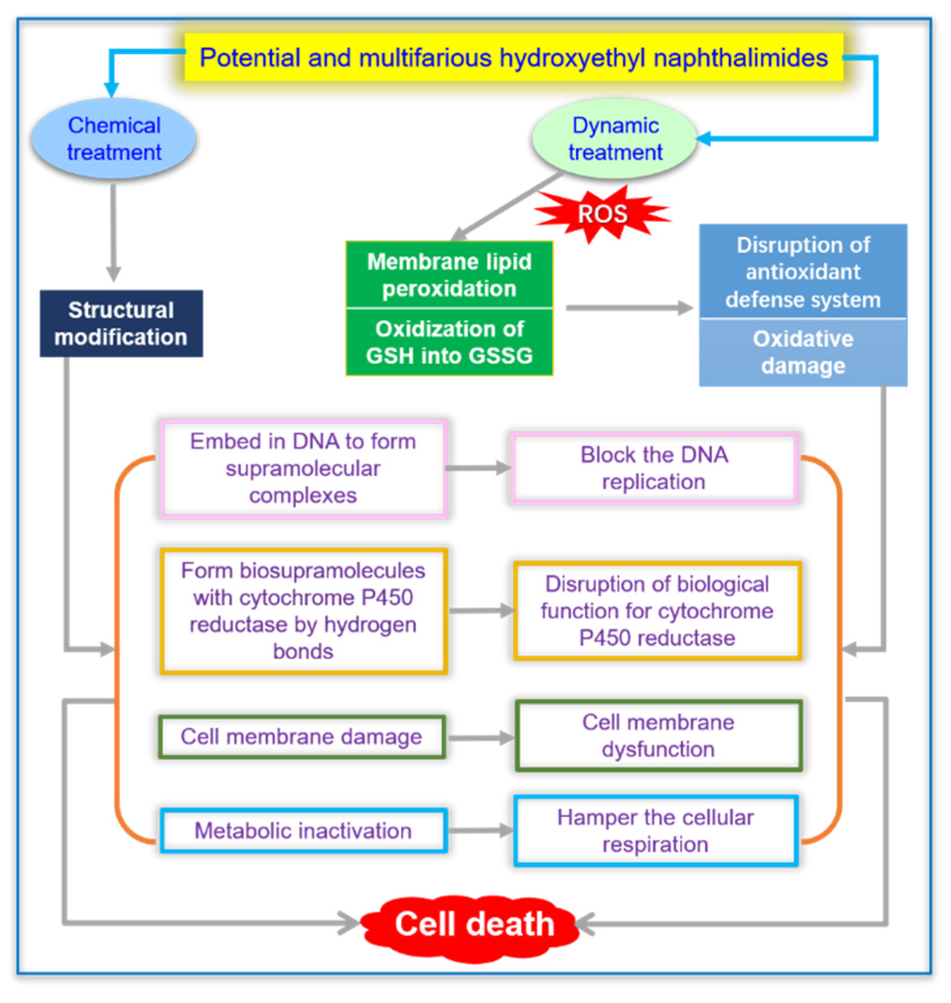 Molecules 27 08453 g010