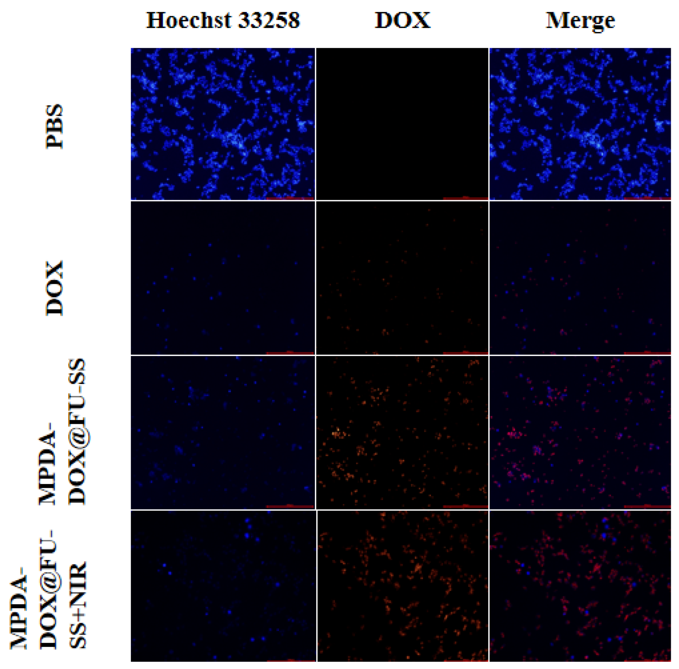 Molecules 27 08455 g009 Molecules 27 08455 g009