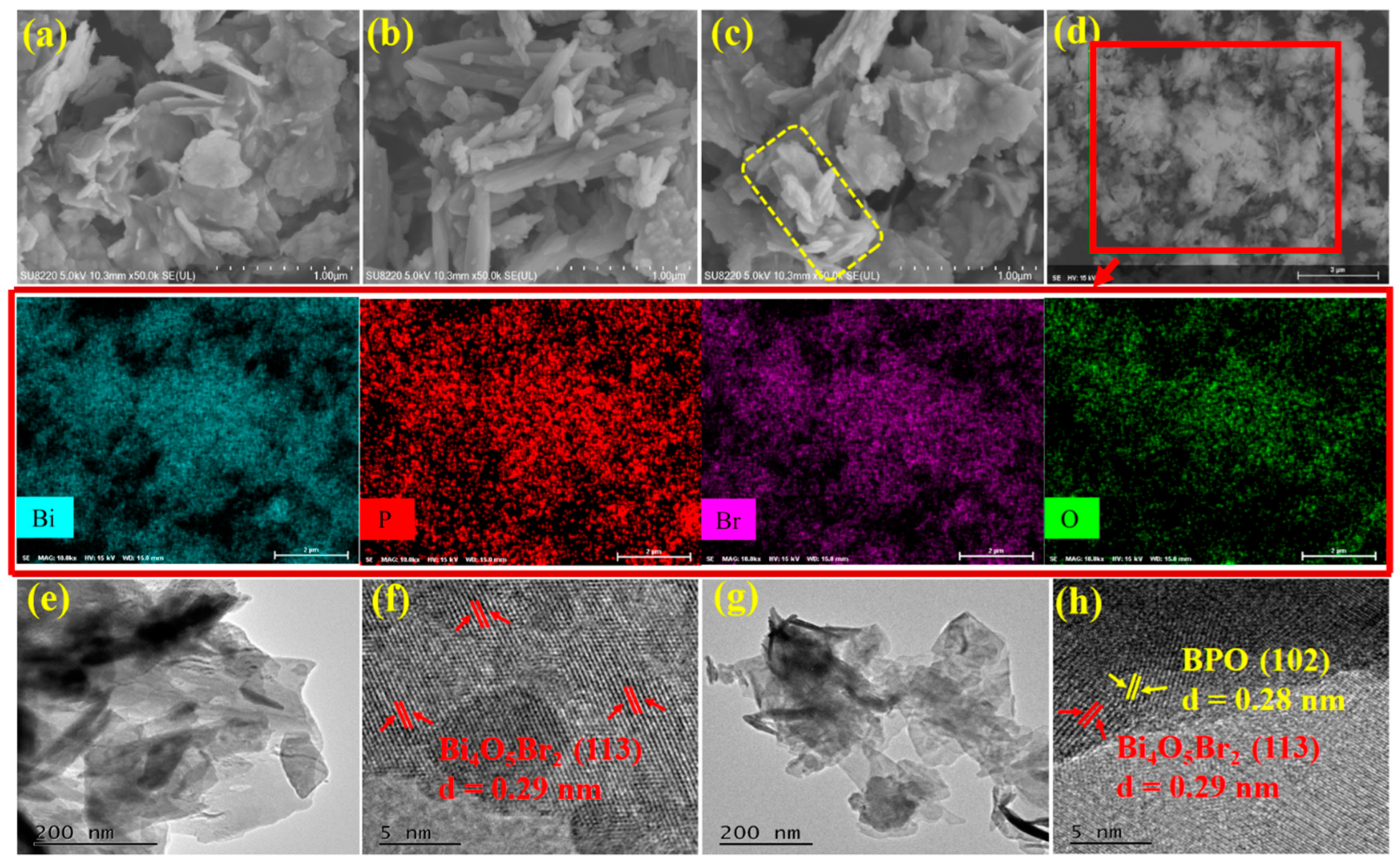 Molecules 27 08474 g002