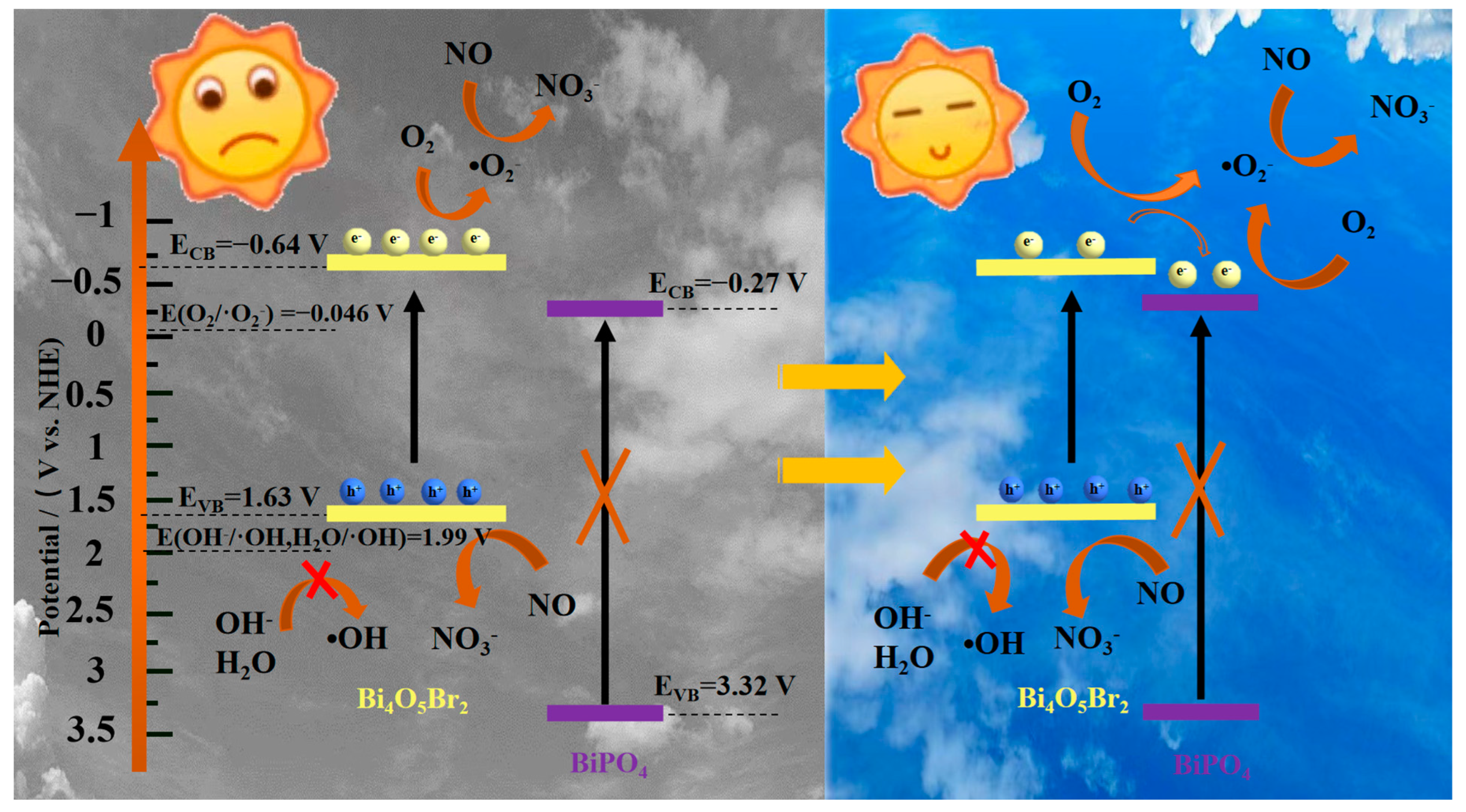 Molecules 27 08474 g007