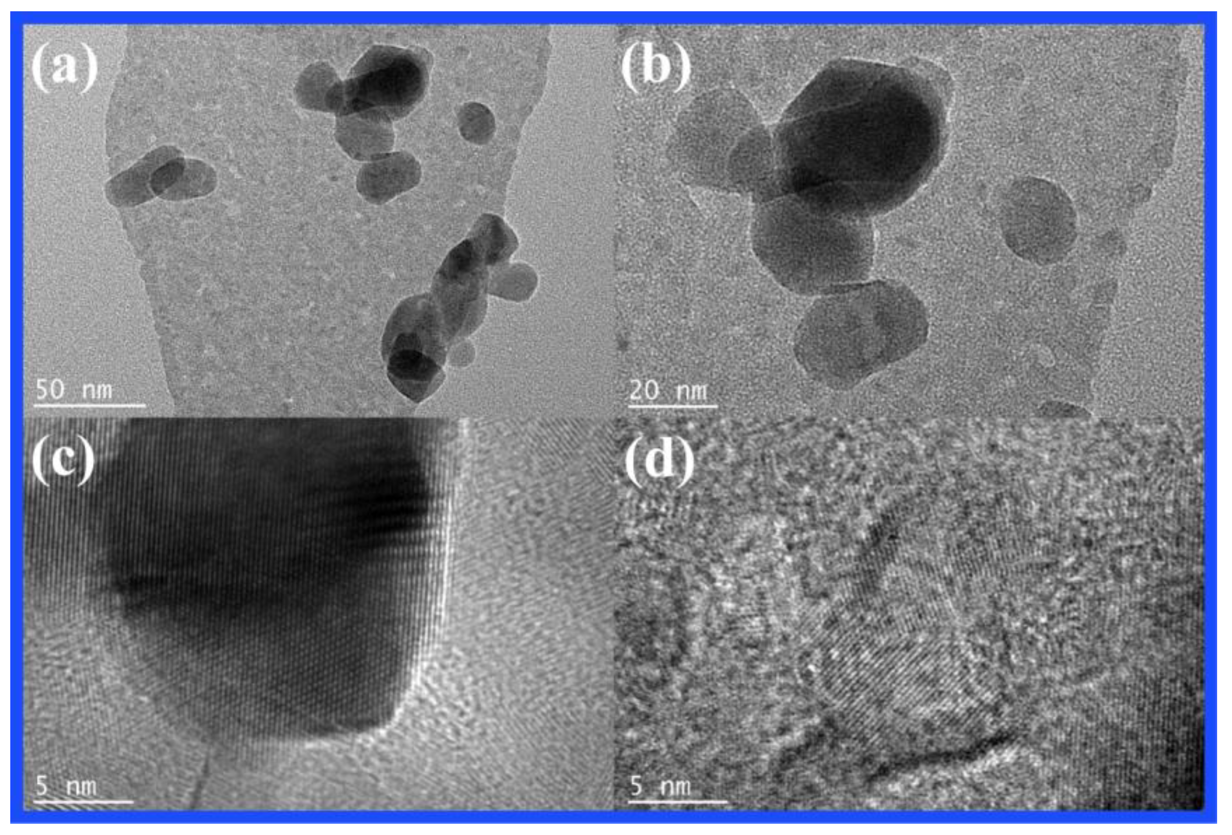 Molecules 27 08476 g004 Molecules 27 08476 g004
