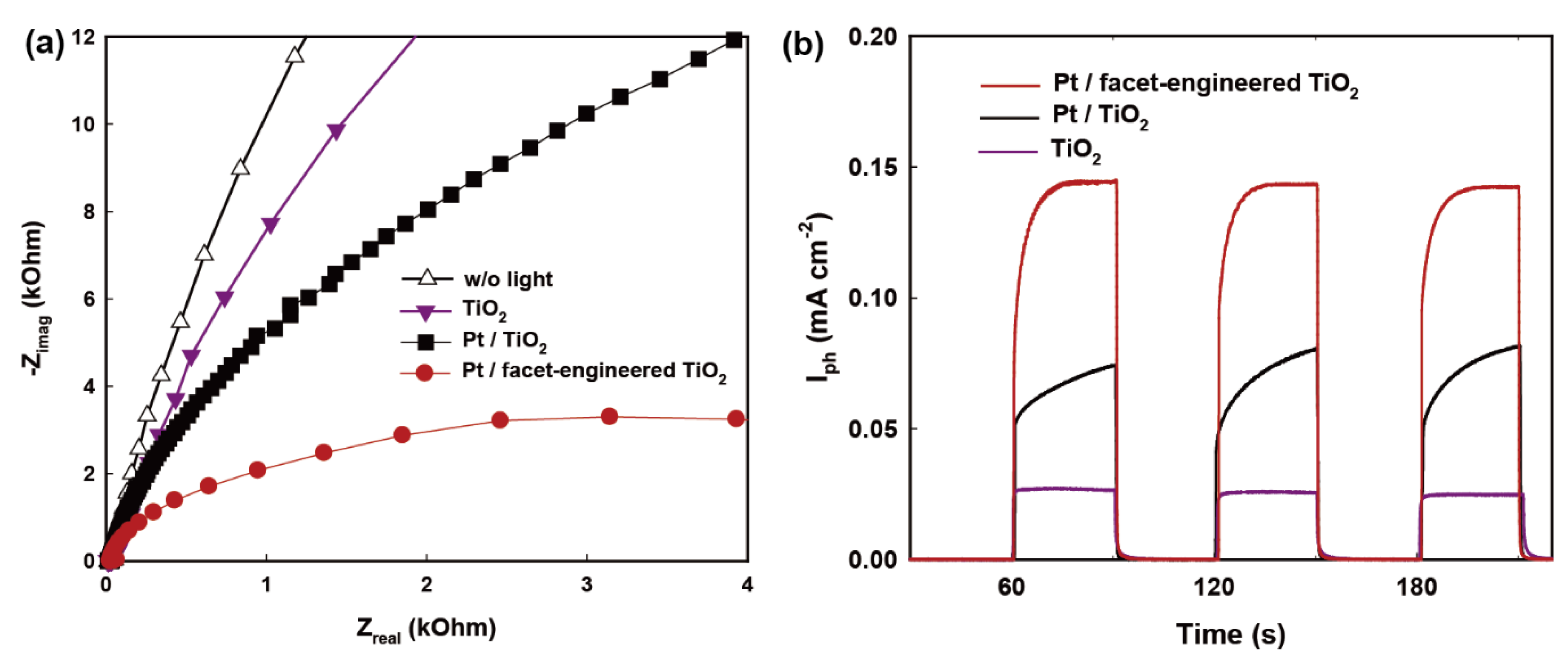 Molecules 27 08482 g004 Molecules 27 08482 g004