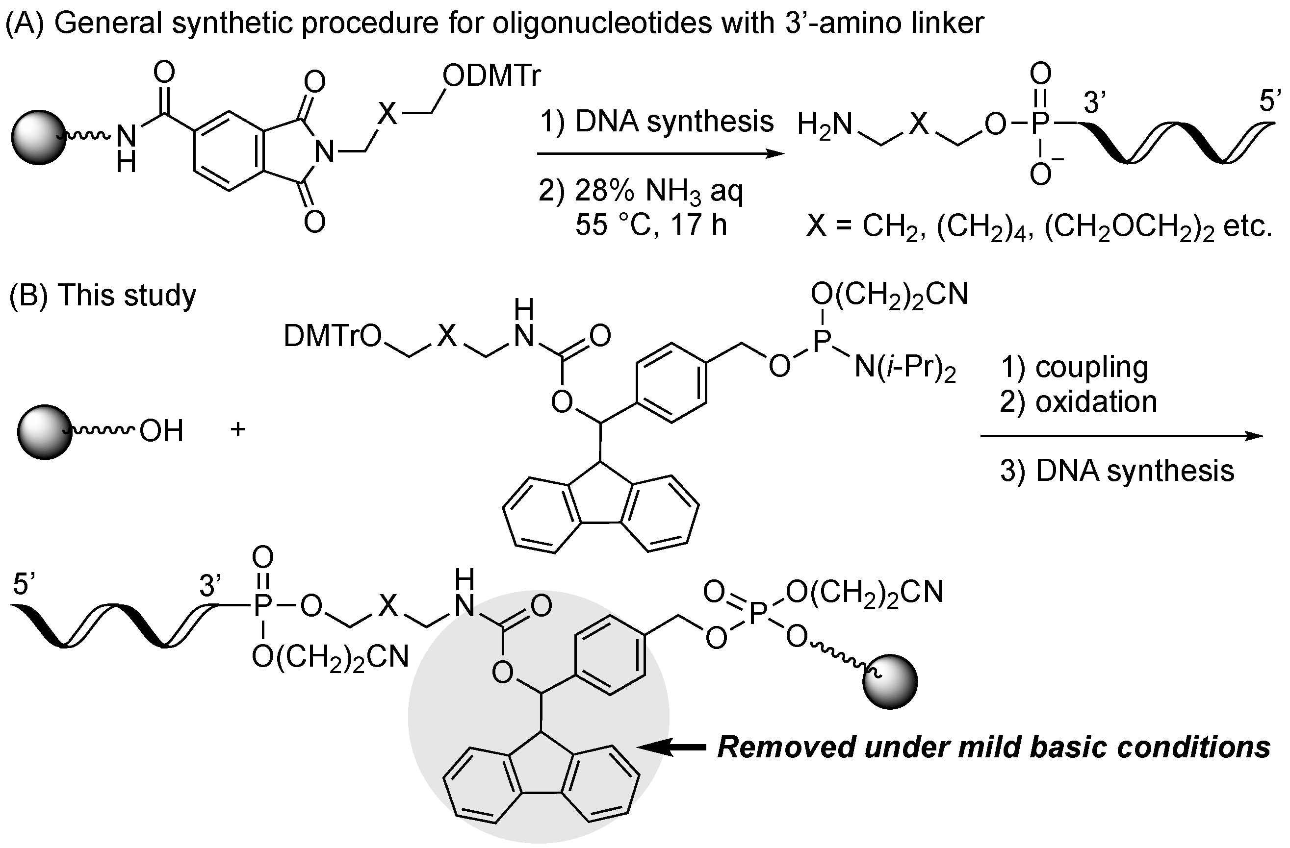 Molecules 27 08501 g001