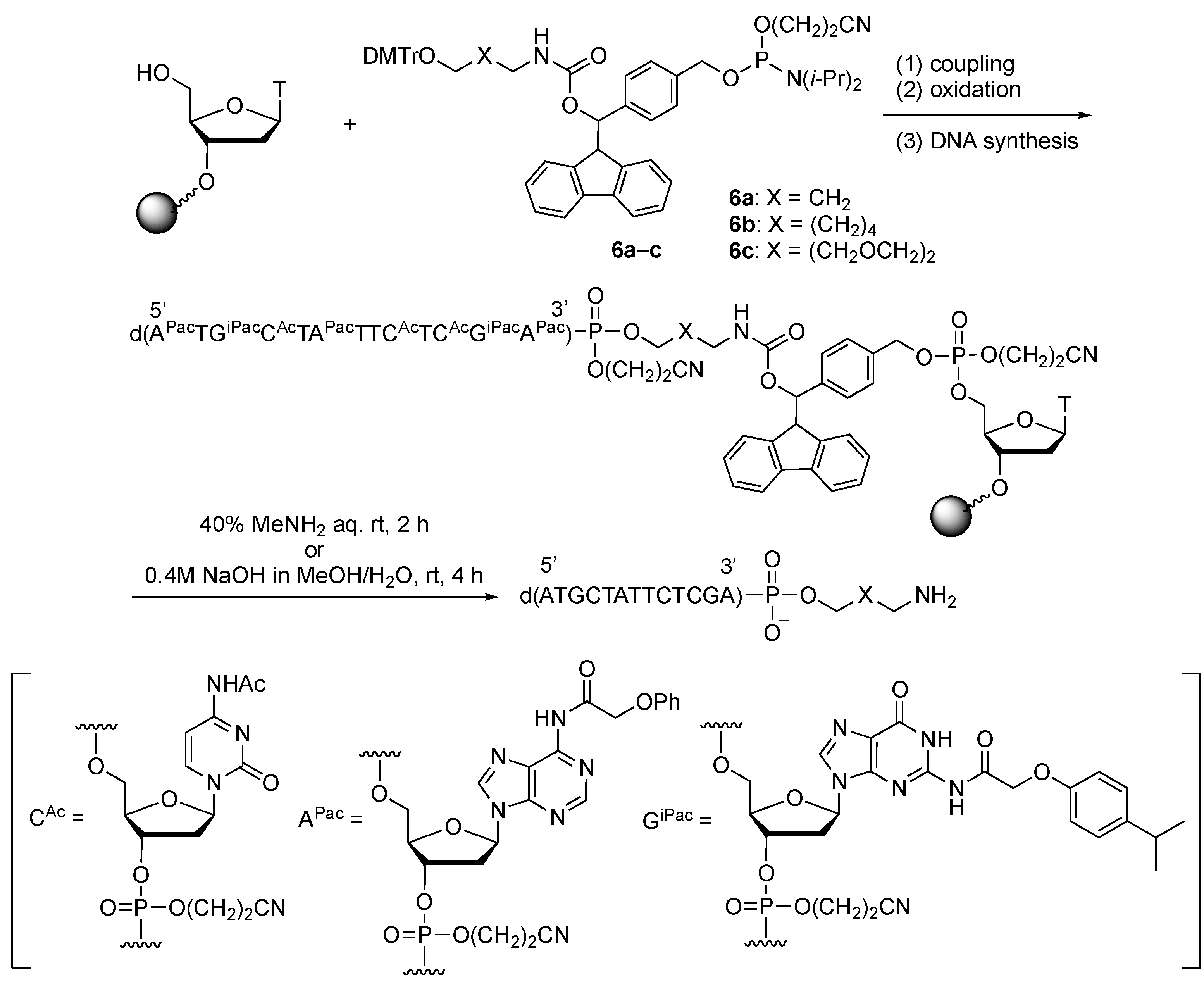 Molecules 27 08501 sch004