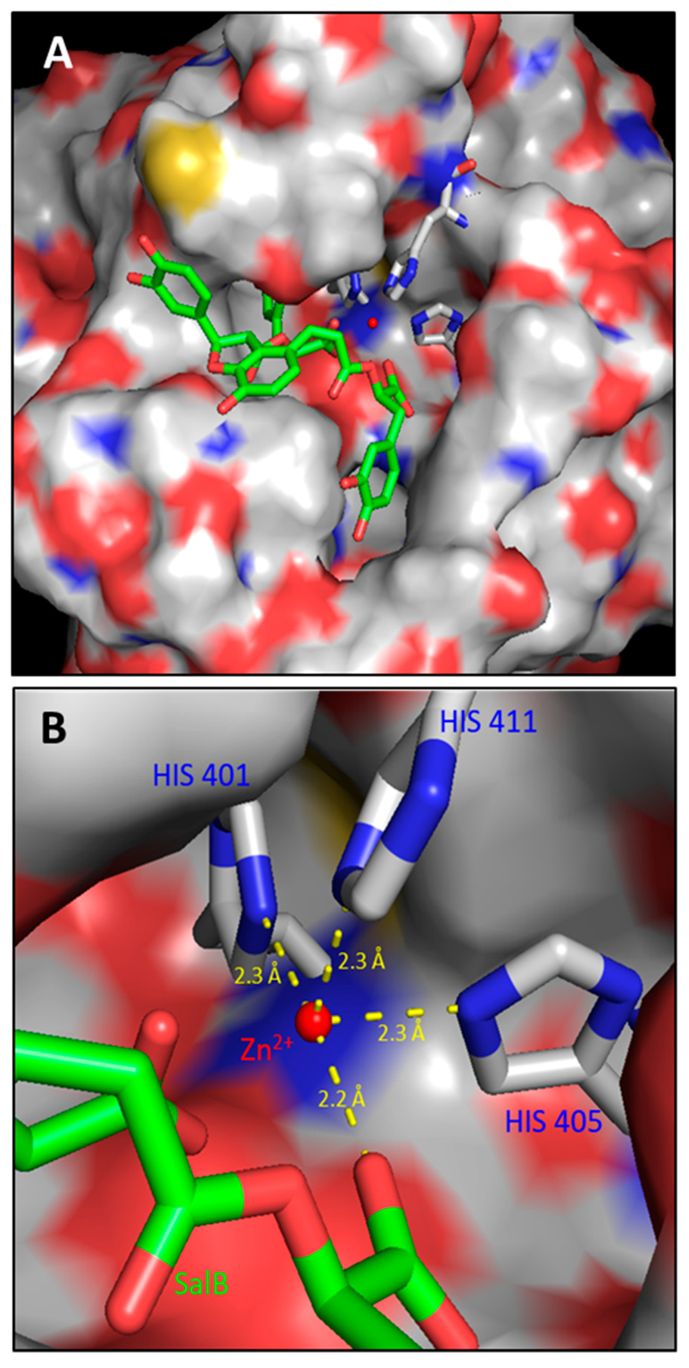 Molecules 27 08514 g002 Molecules 27 08514 g002
