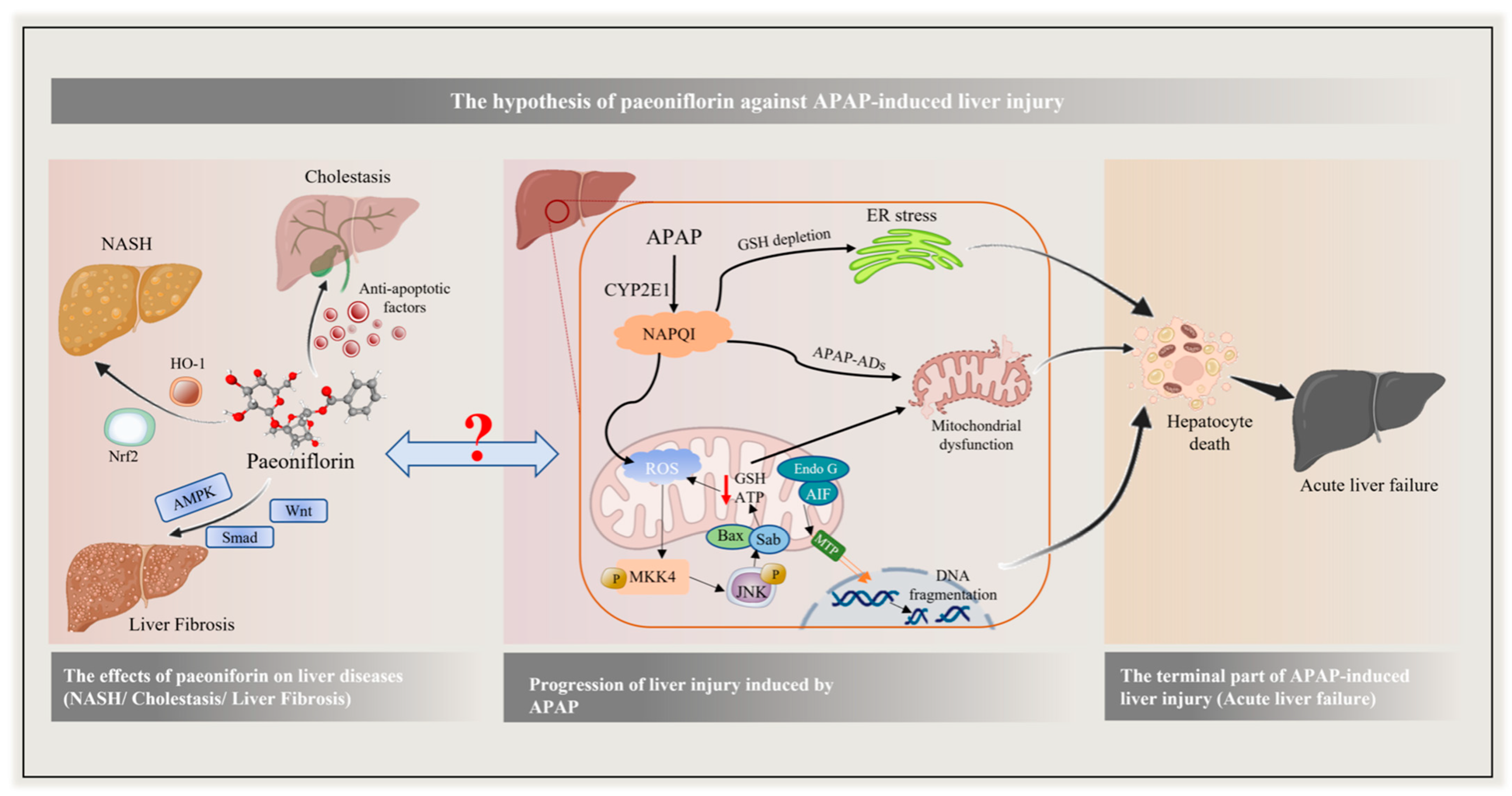 Molecules 27 08534 g001 Molecules 27 08534 g001