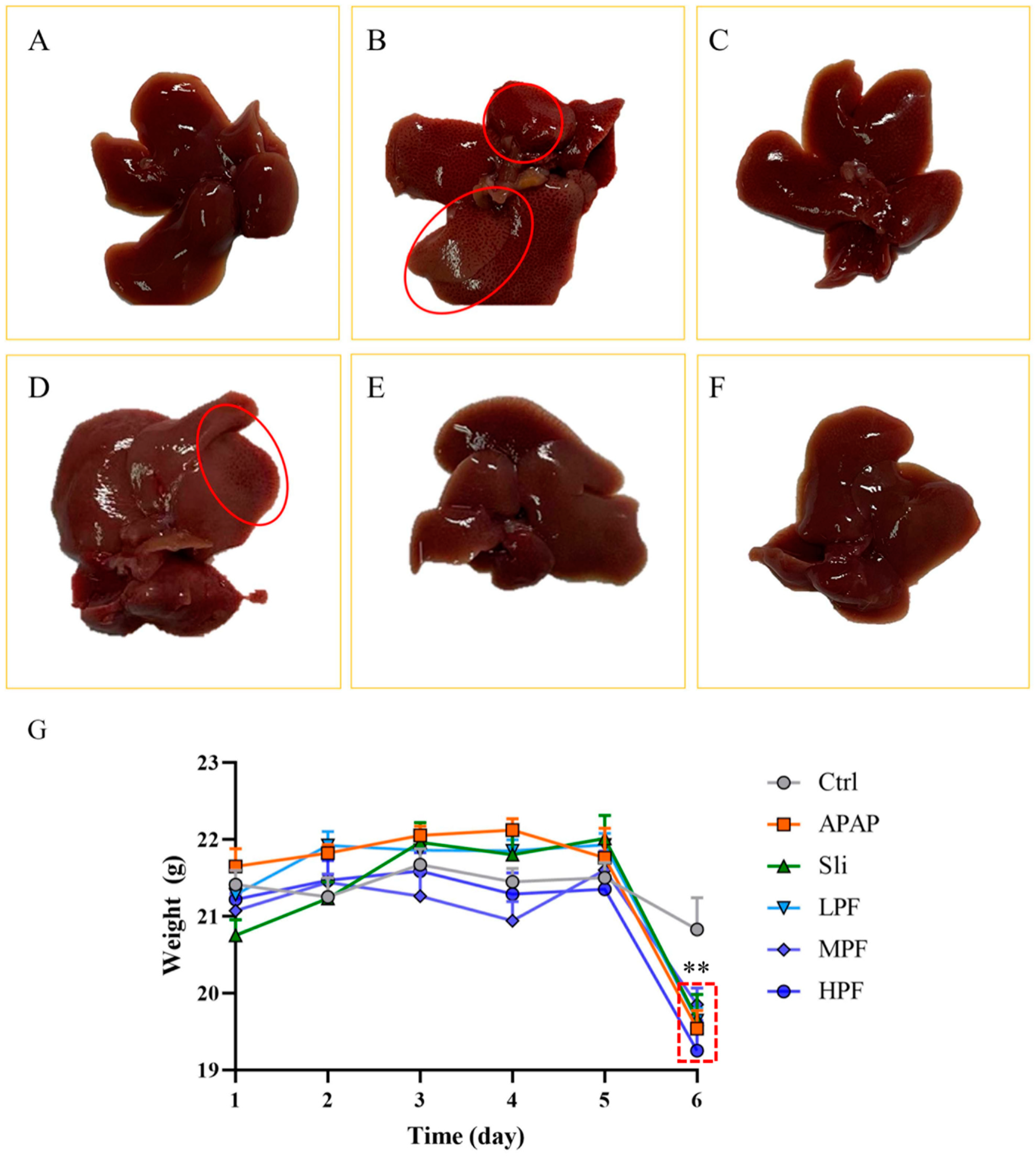 Molecules 27 08534 g002 Molecules 27 08534 g002