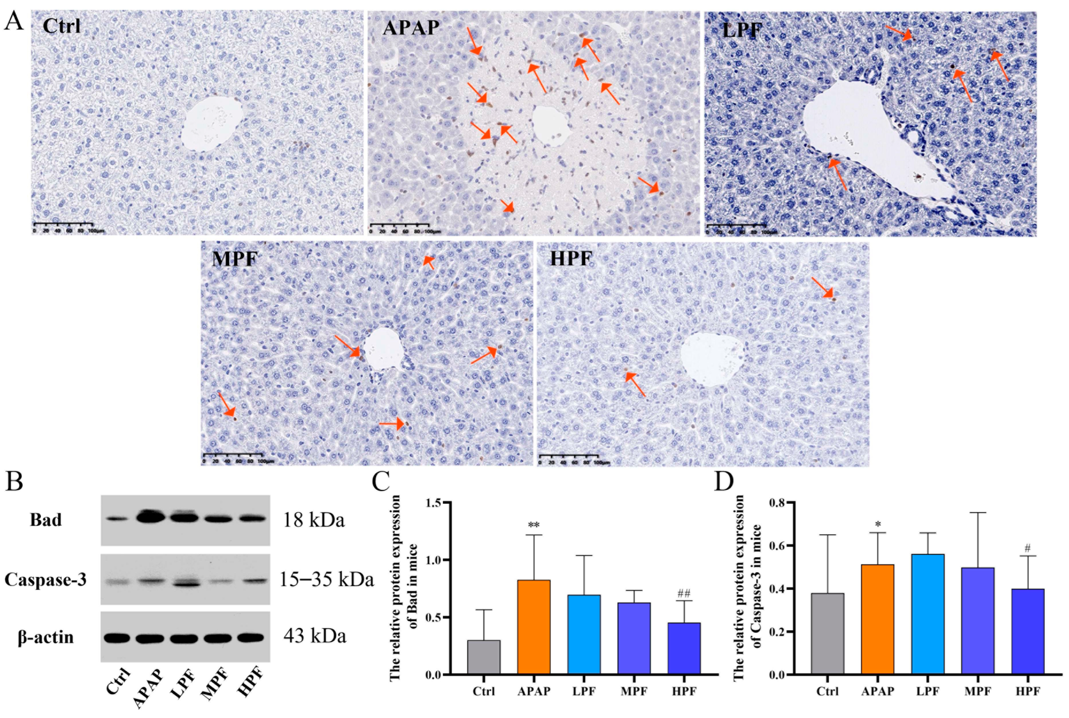 Molecules 27 08534 g004 Molecules 27 08534 g004