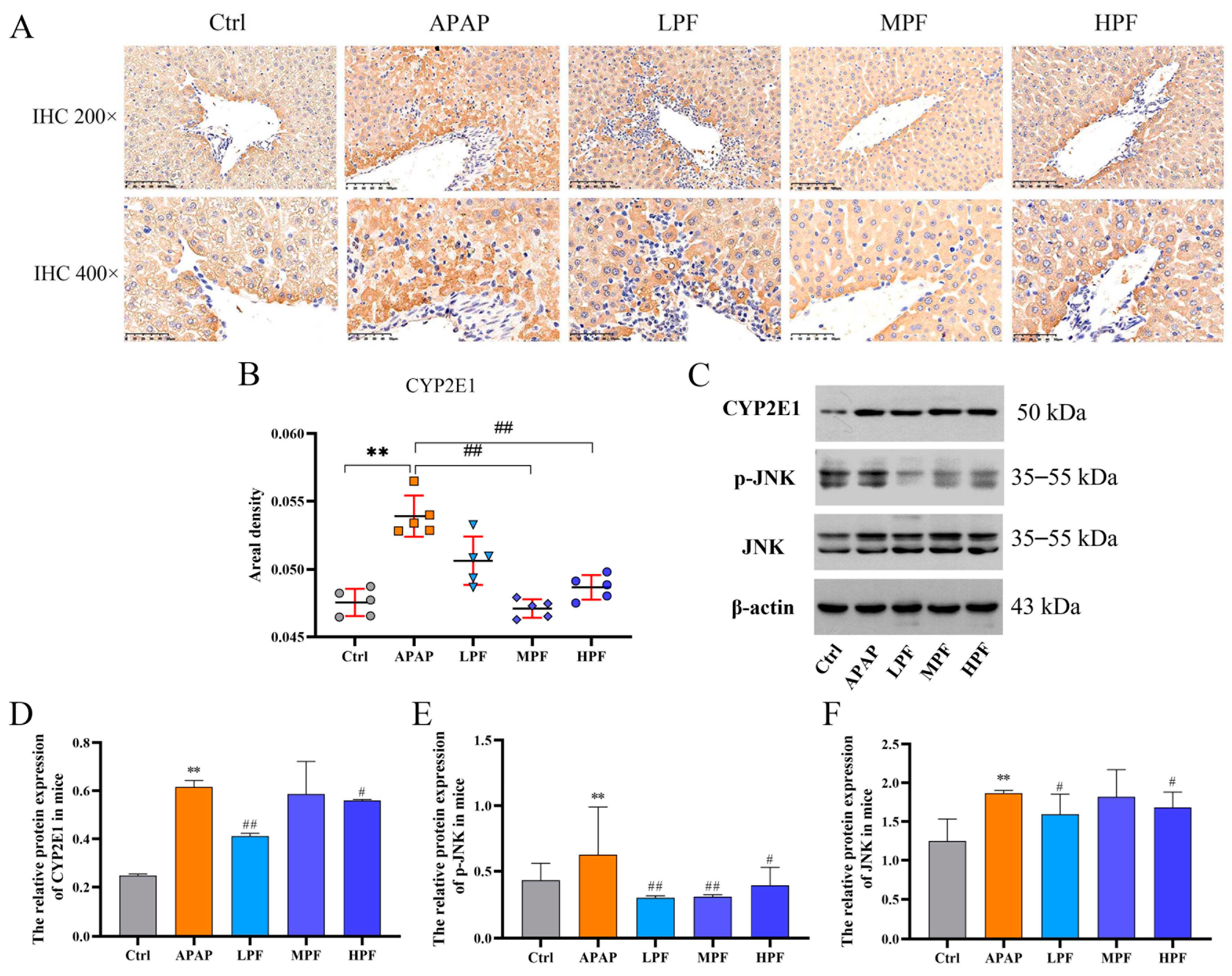 Molecules 27 08534 g005 Molecules 27 08534 g005