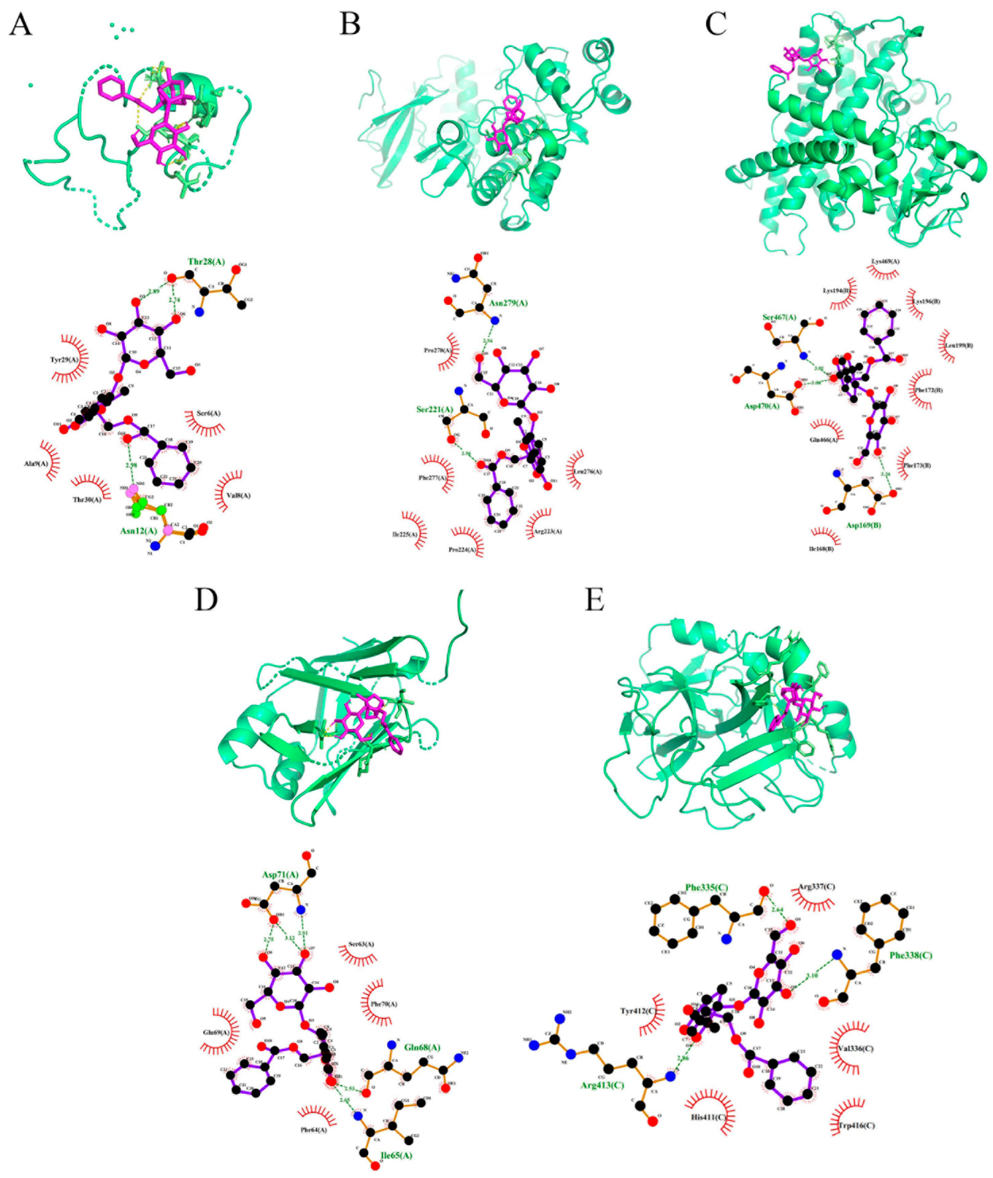 Molecules 27 08534 g006 Molecules 27 08534 g006