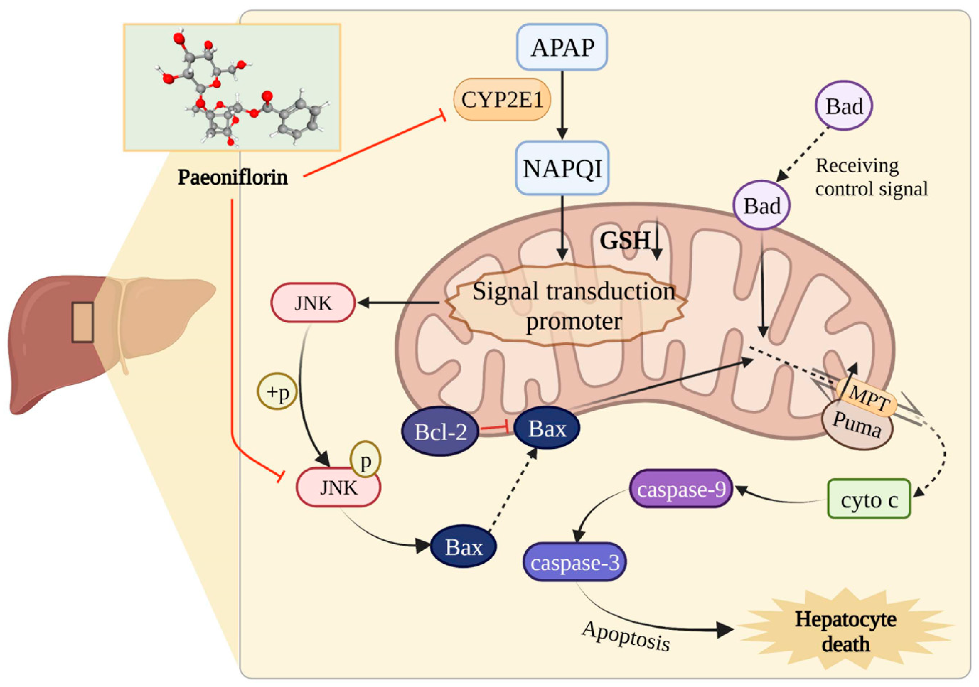 Molecules 27 08534 g009 Molecules 27 08534 g009