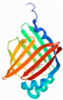 Molecules 27 08534 i004 Molecules 27 08534 i004