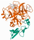 Molecules 27 08534 i005 Molecules 27 08534 i005