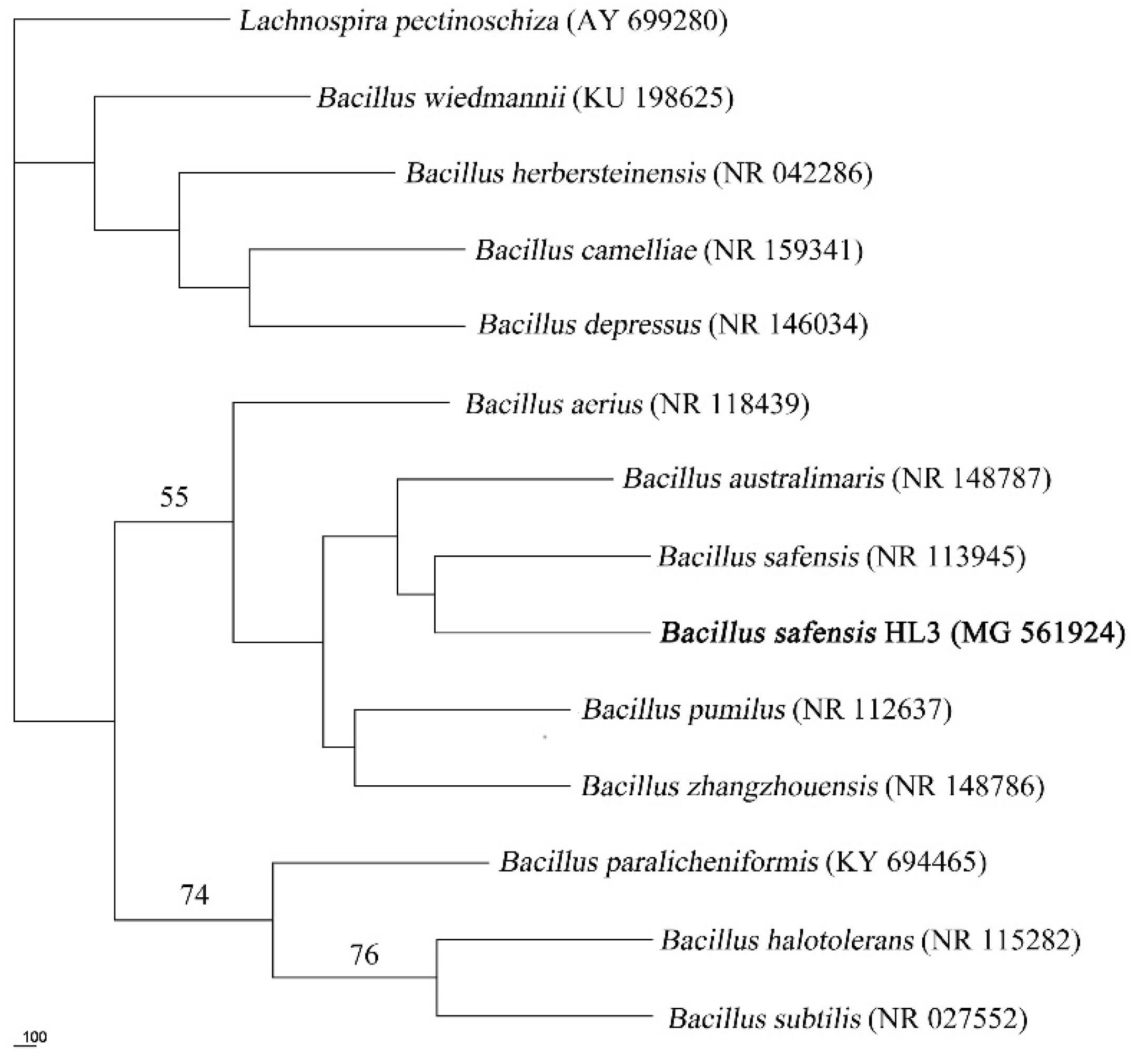 Molecules 27 08539 g001