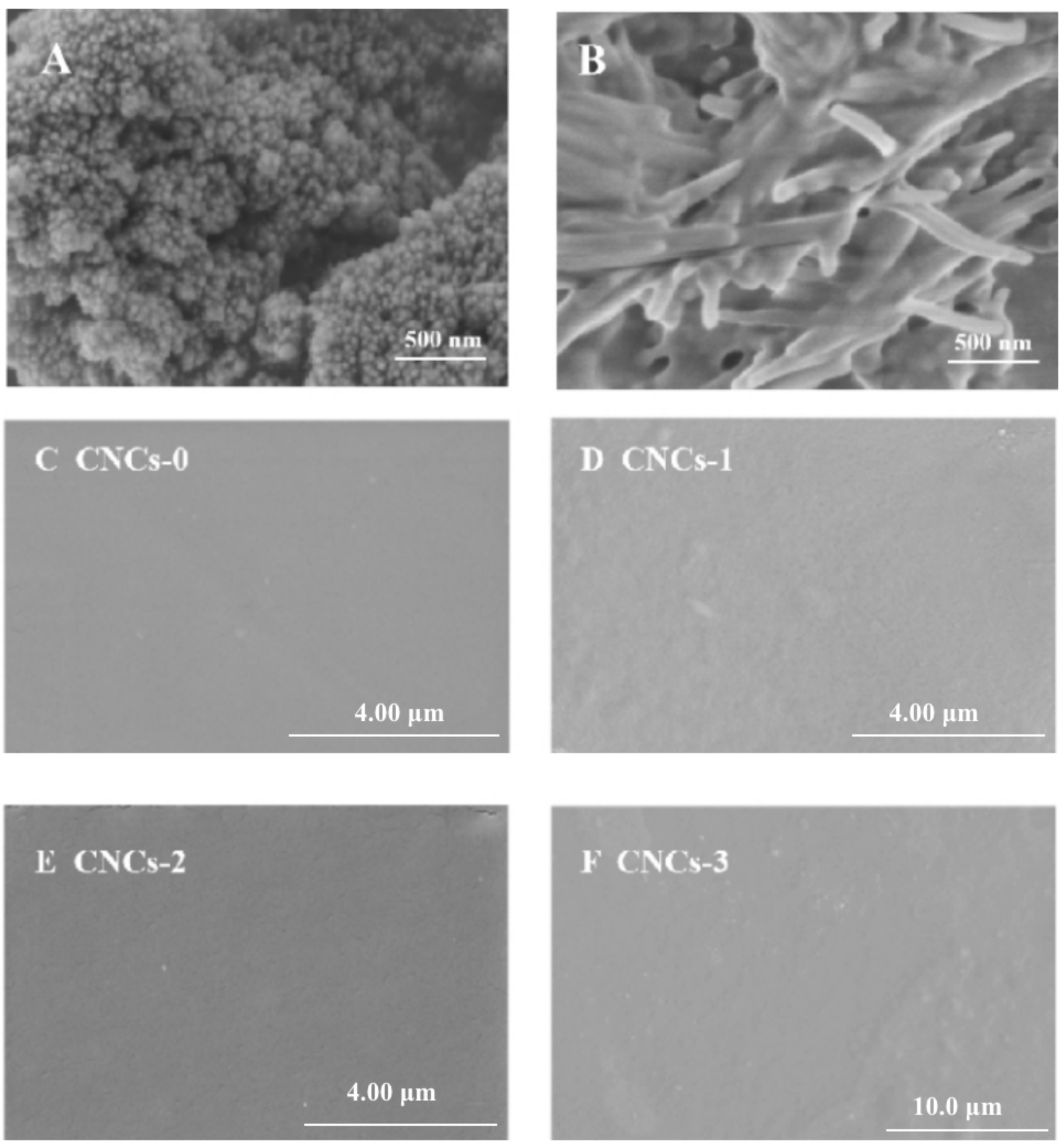 Molecules 27 08542 g003 Molecules 27 08542 g003