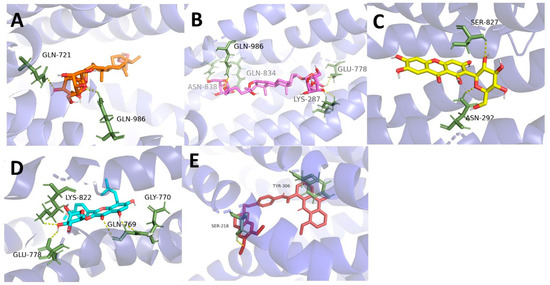 Molecules | Free Full-Text | In Vitro Evaluation of the