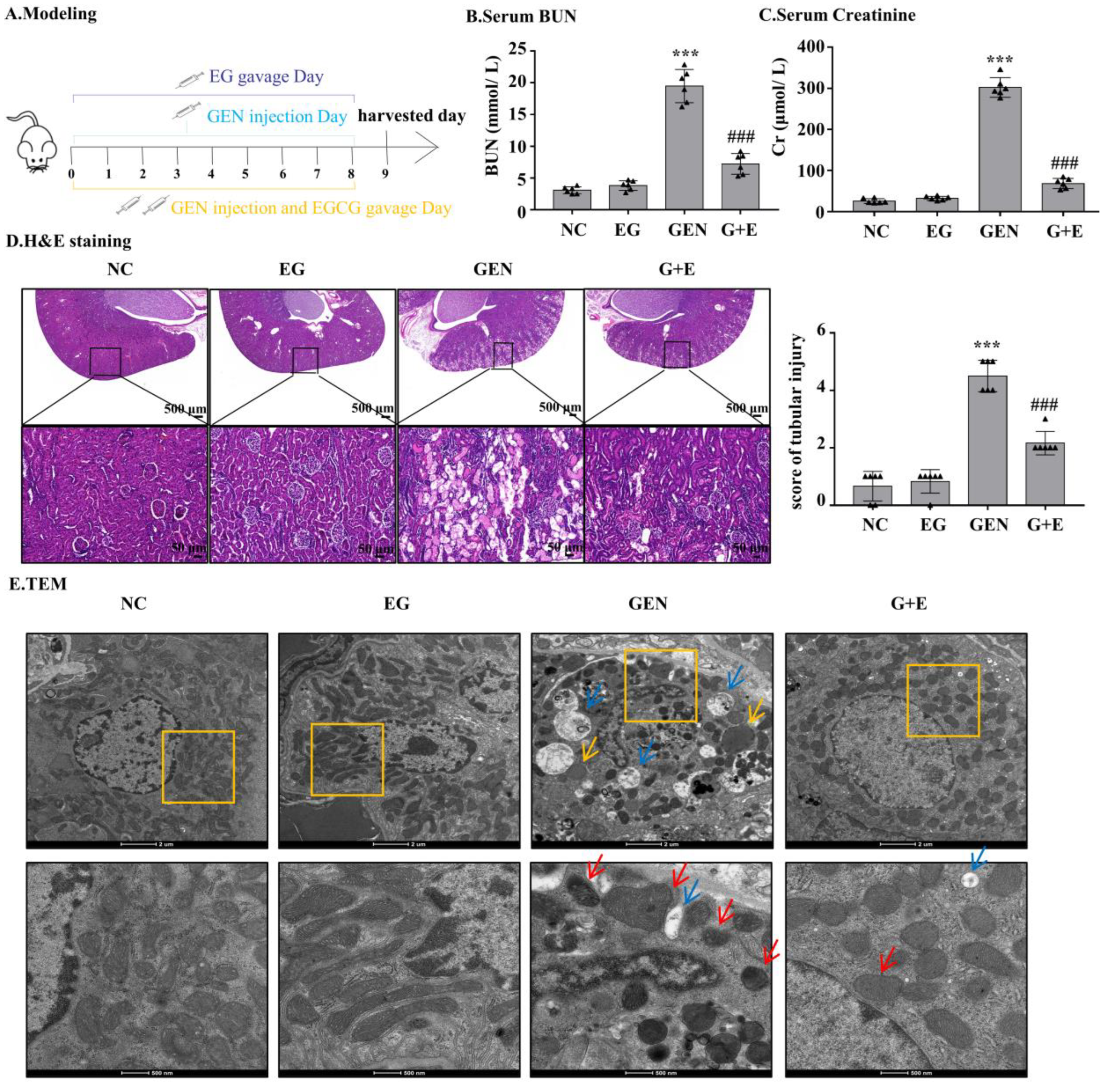 Molecules 27 08564 g001 Molecules 27 08564 g001