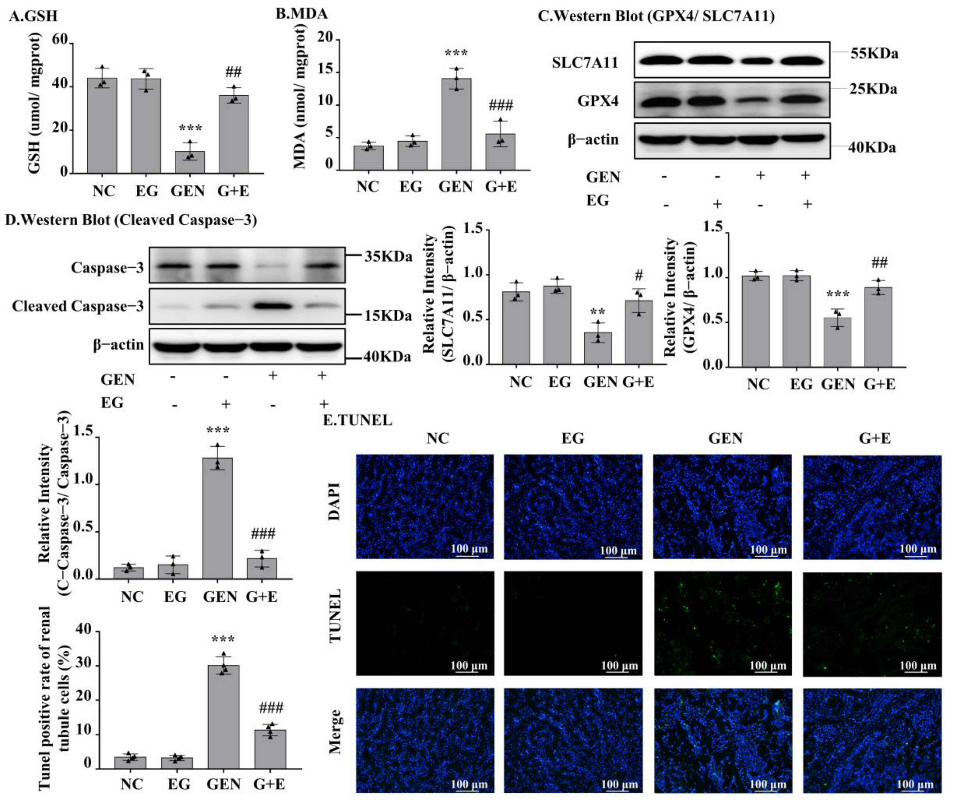 Molecules 27 08564 g002 Molecules 27 08564 g002