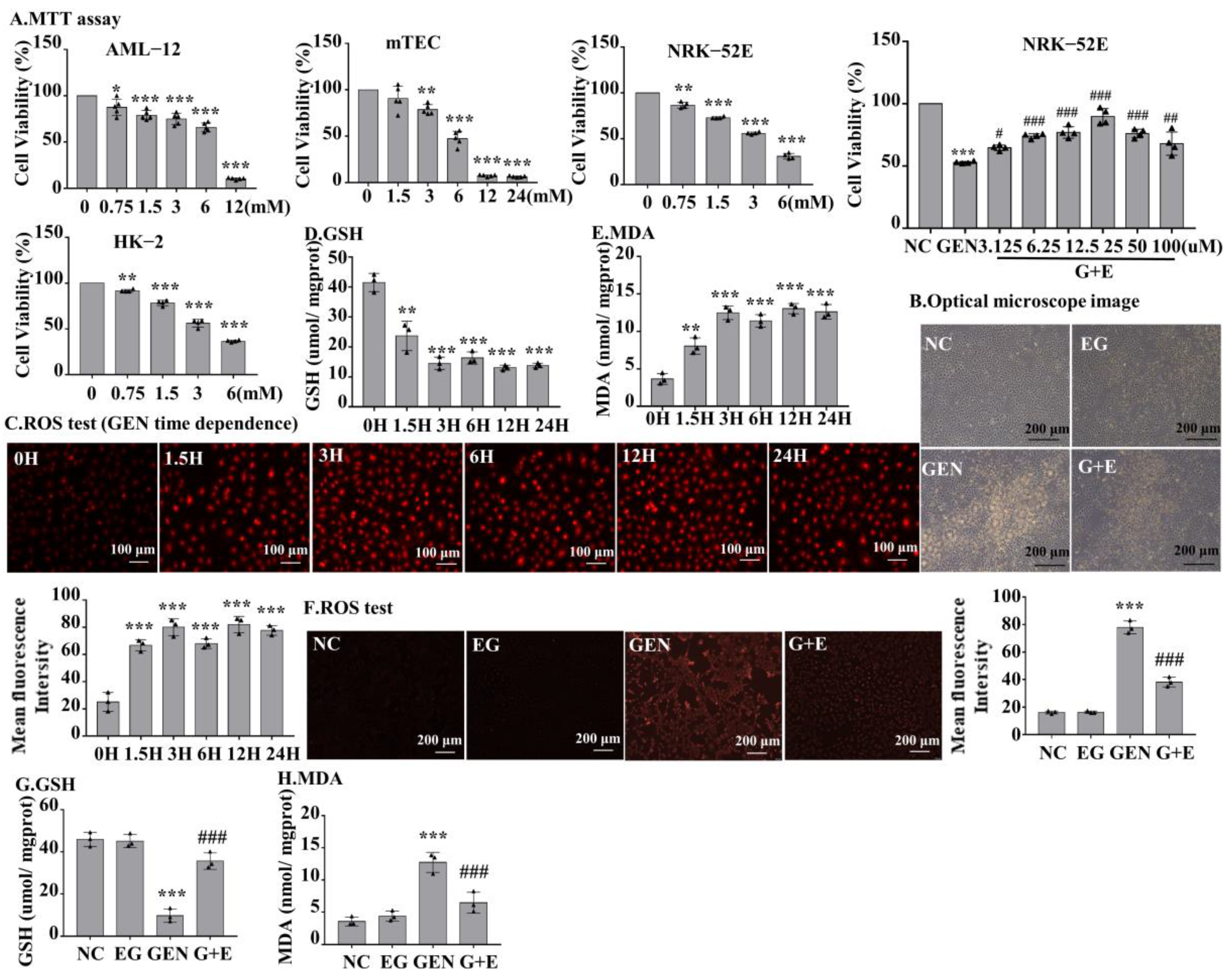 Molecules 27 08564 g003 Molecules 27 08564 g003
