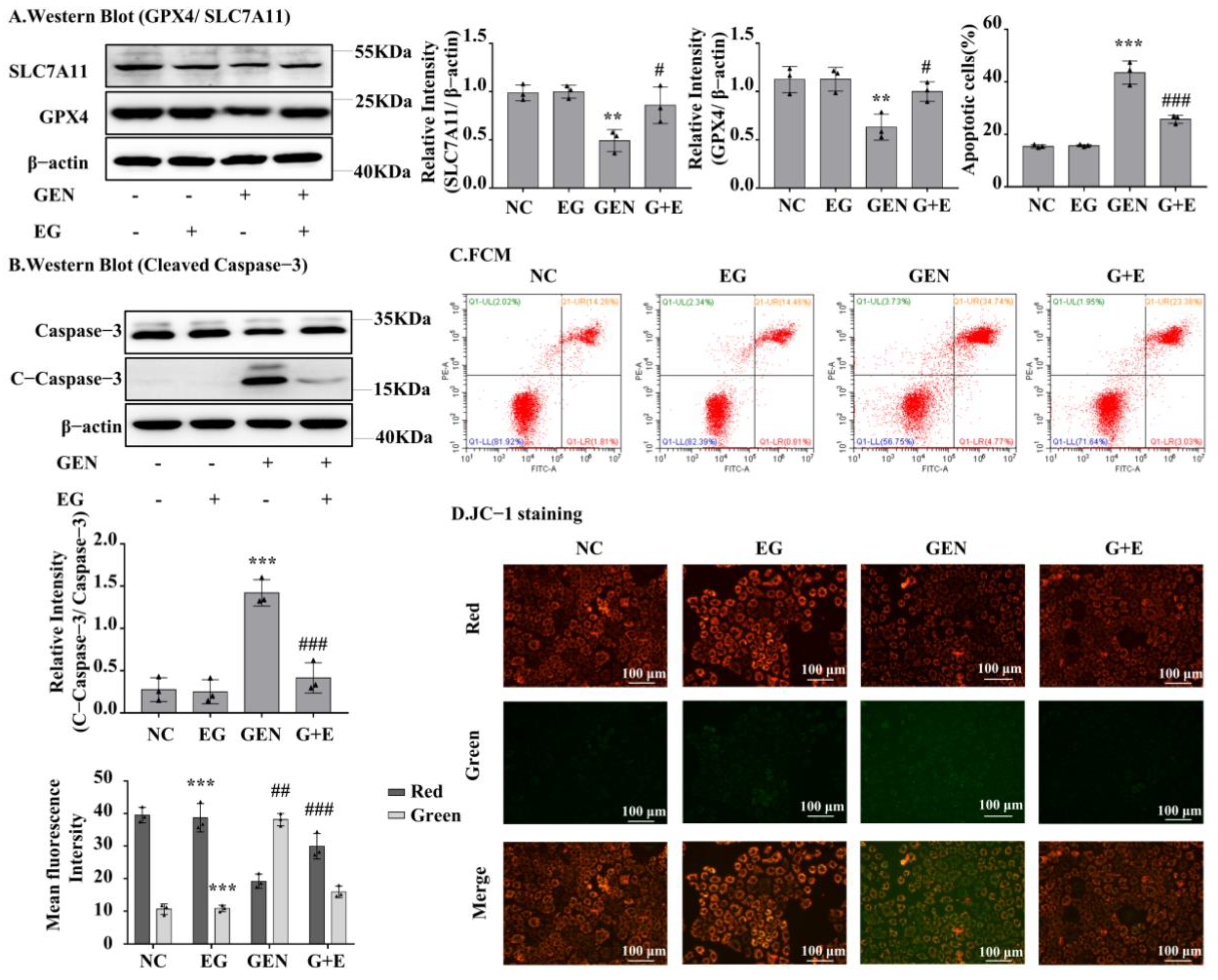 Molecules 27 08564 g004 Molecules 27 08564 g004