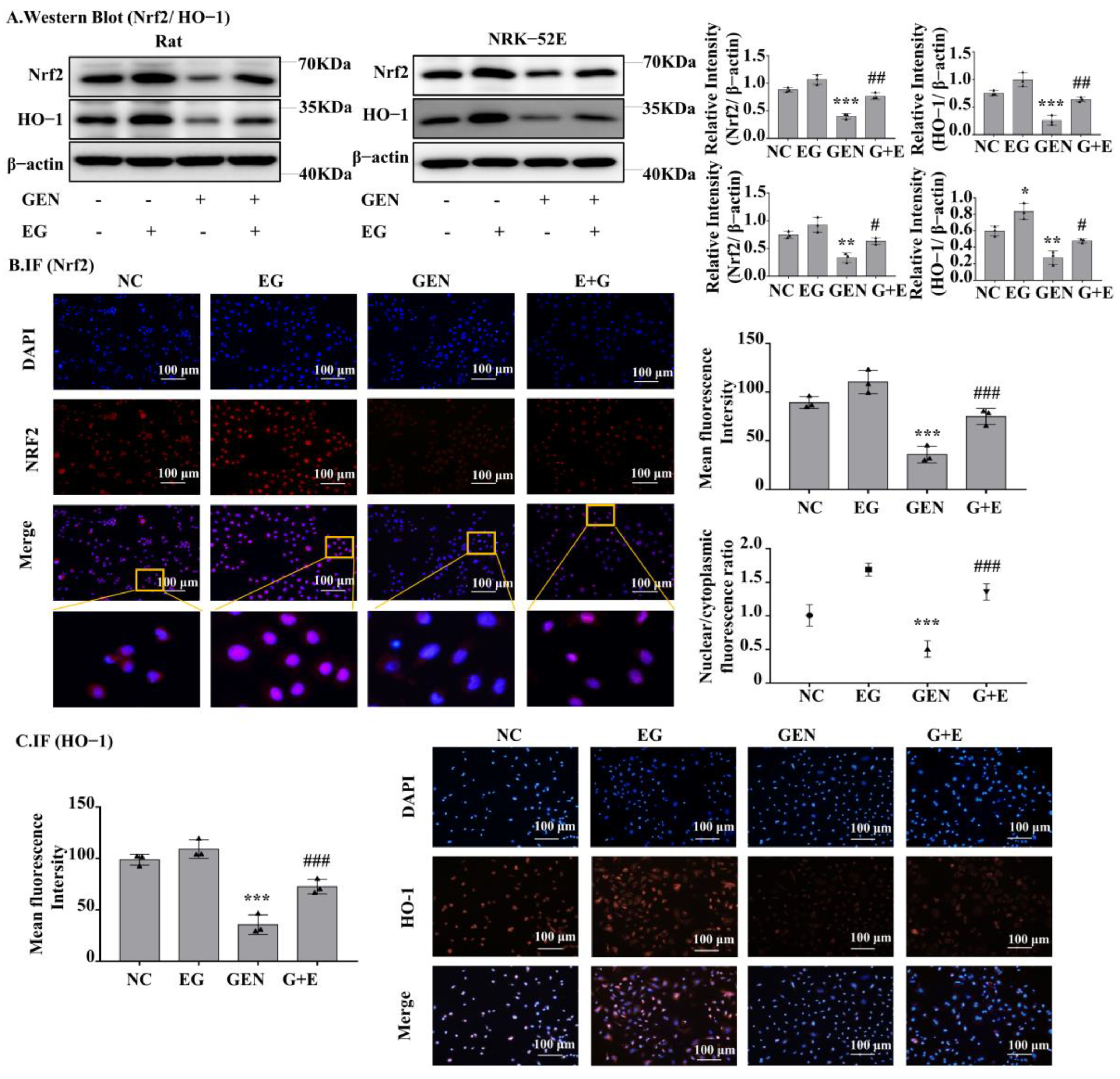Molecules 27 08564 g005 Molecules 27 08564 g005
