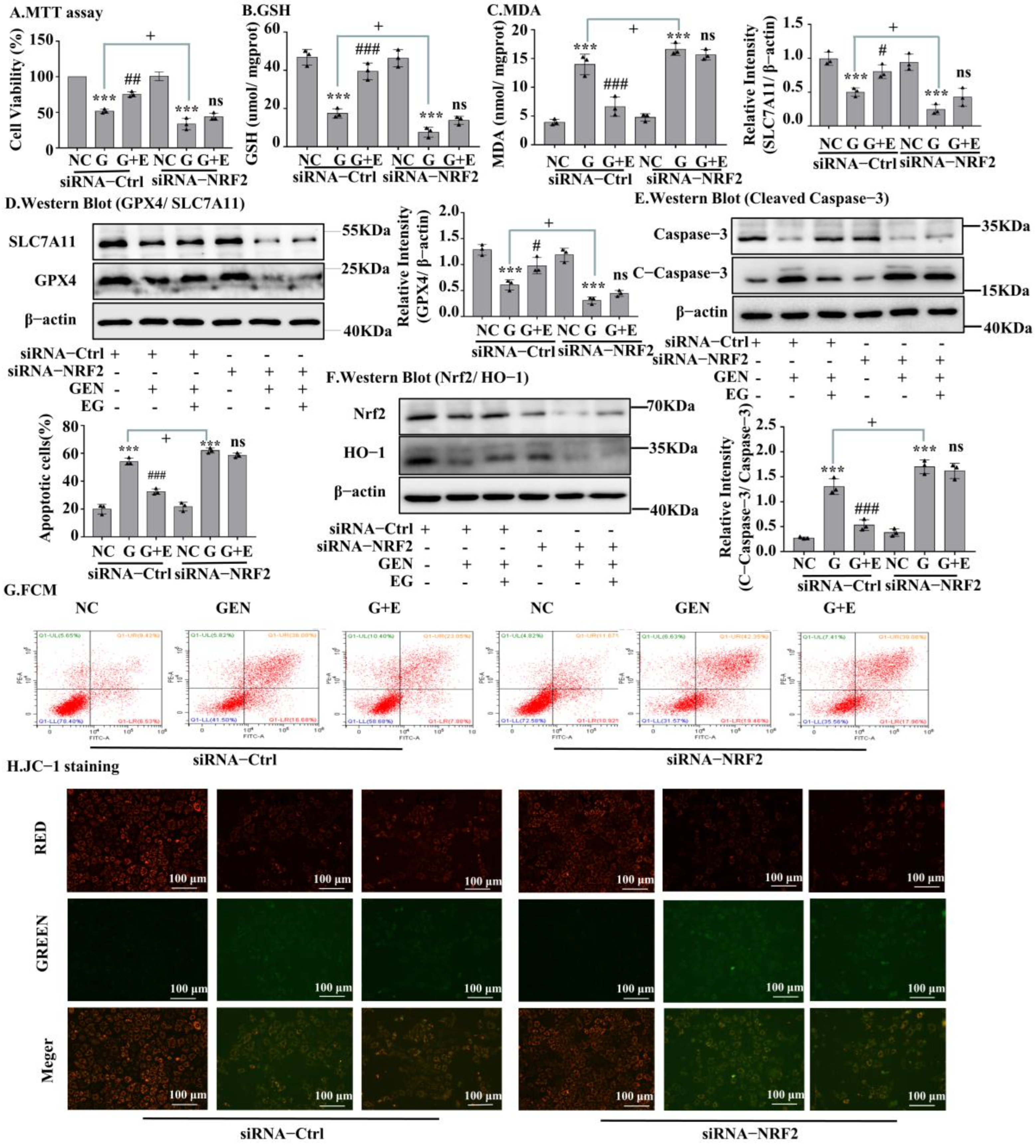 Molecules 27 08564 g006 Molecules 27 08564 g006