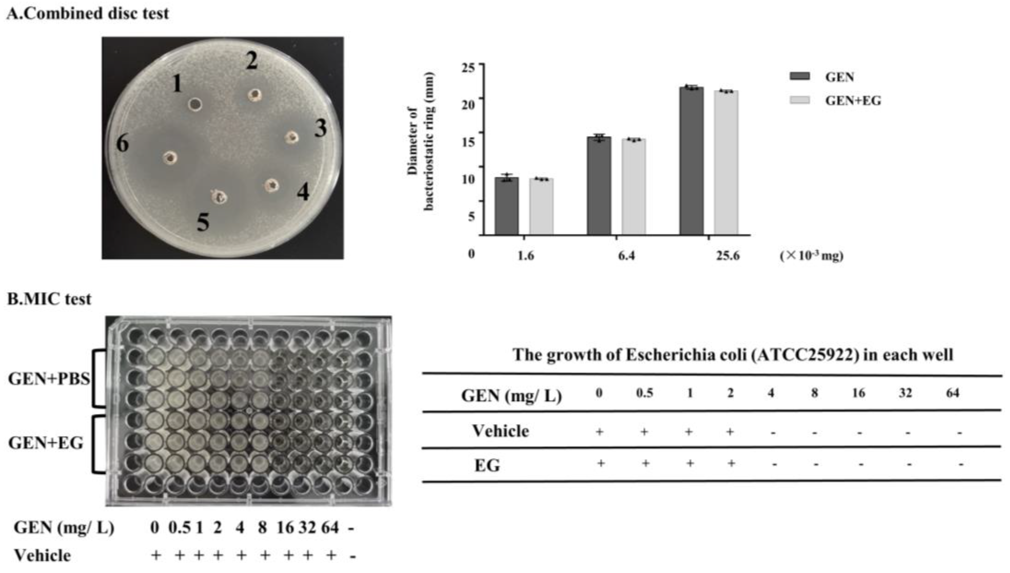 Molecules 27 08564 g008 Molecules 27 08564 g008