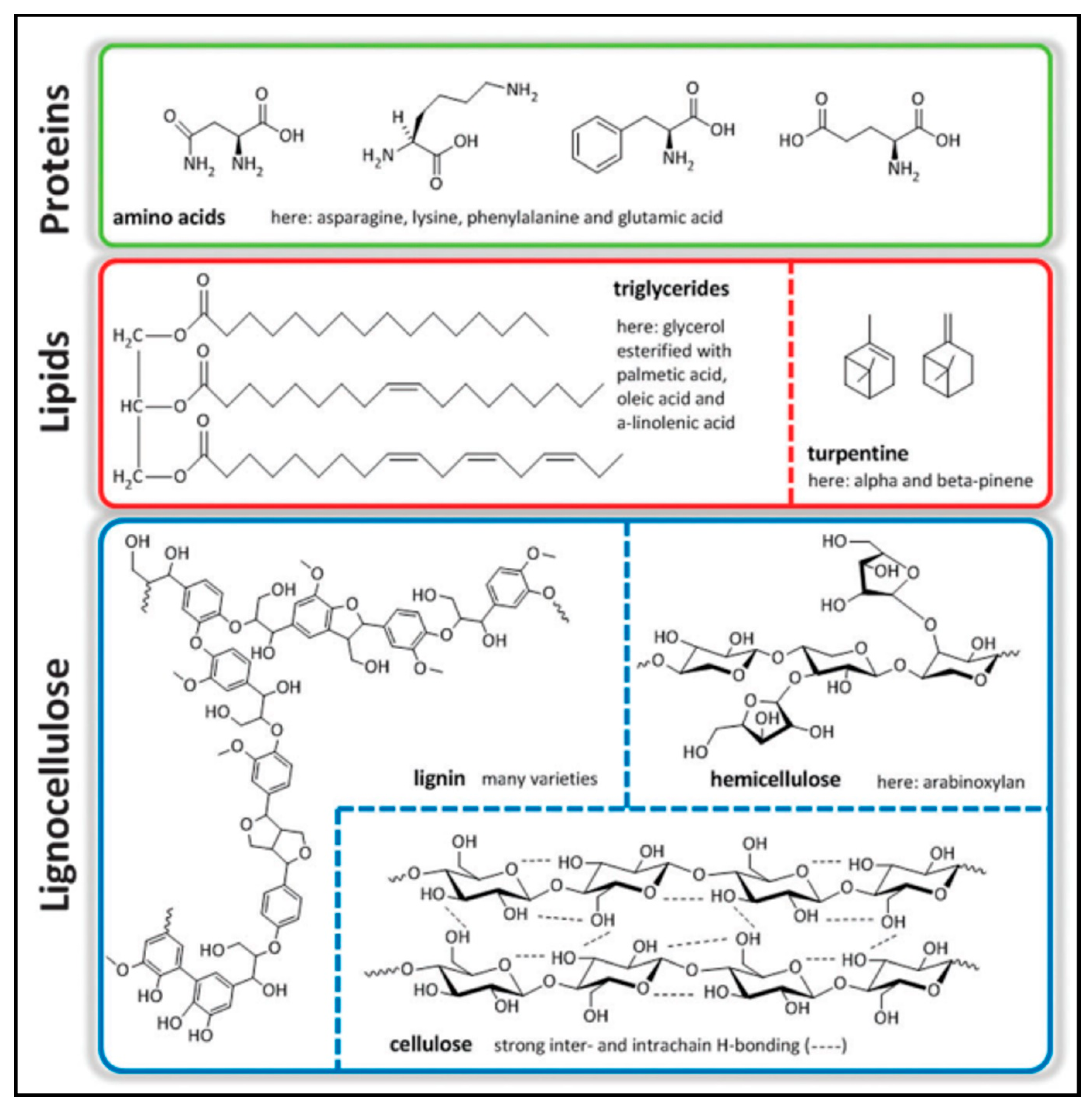 Molecules 27 08578 g001 Molecules 27 08578 g001