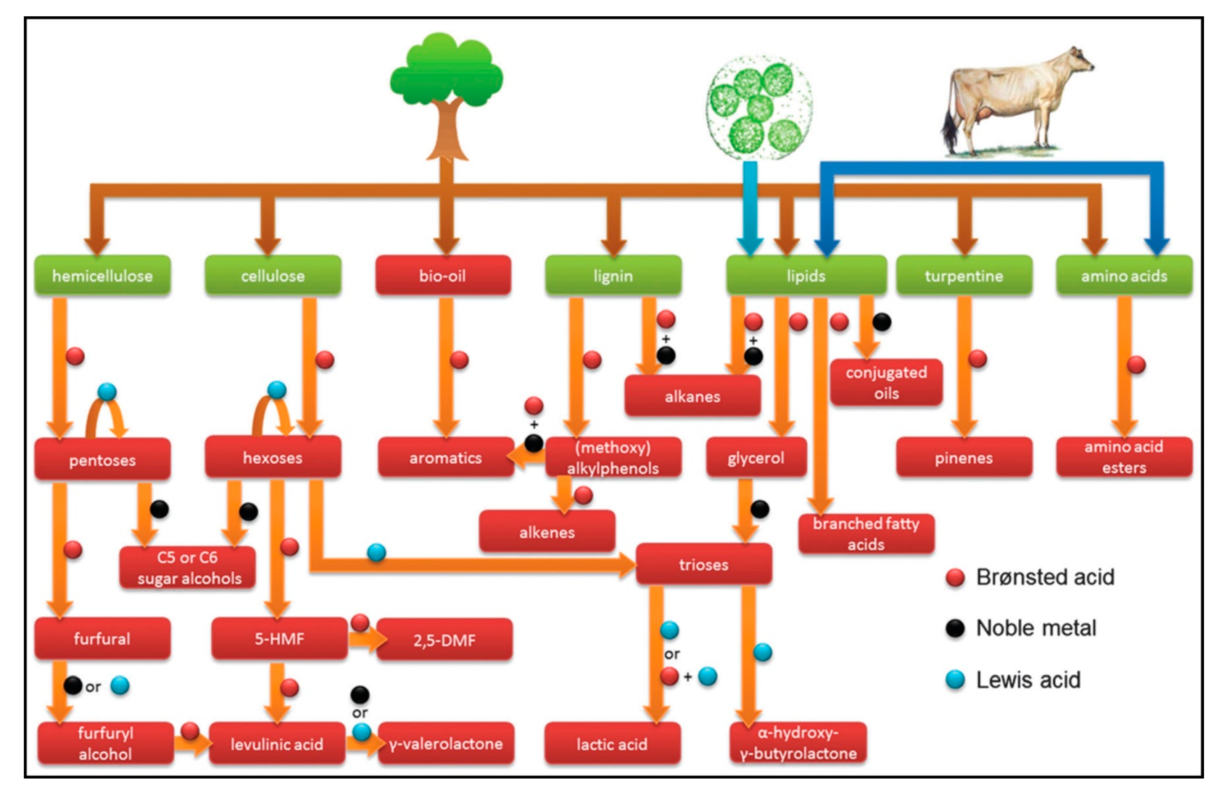 Molecules 27 08578 g002 Molecules 27 08578 g002