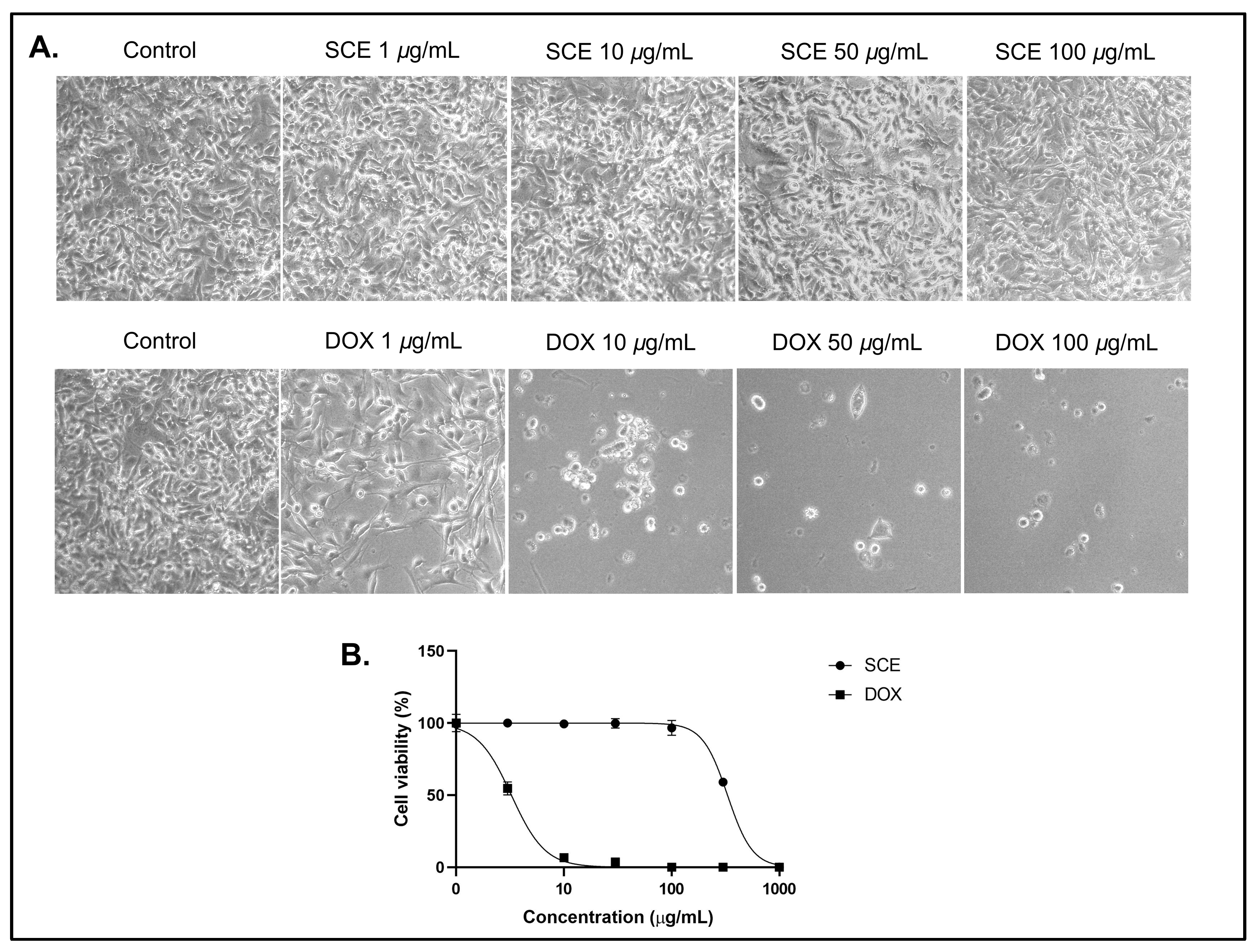 Molecules 27 08585 g001 Molecules 27 08585 g001
