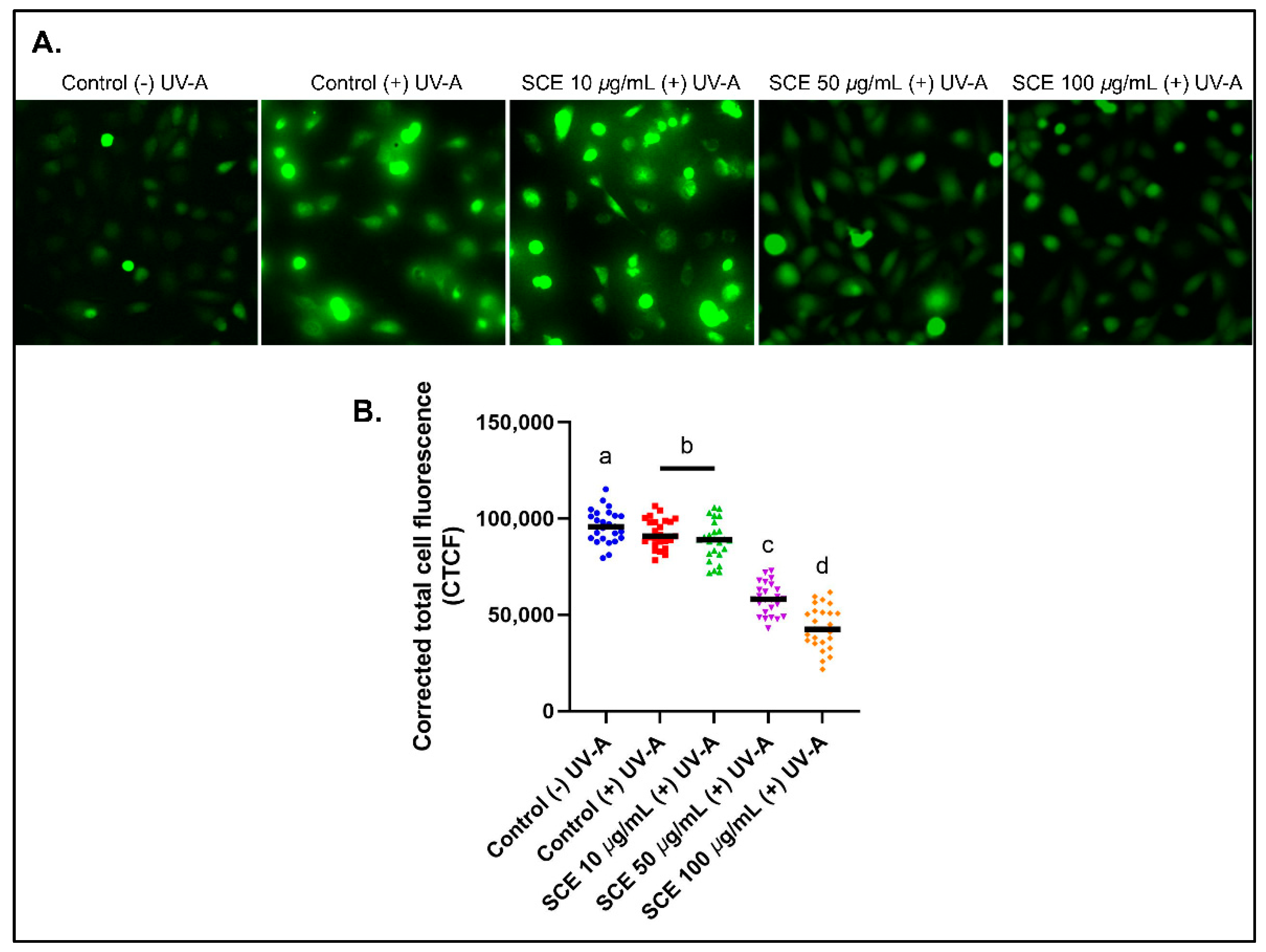 Molecules 27 08585 g002 Molecules 27 08585 g002
