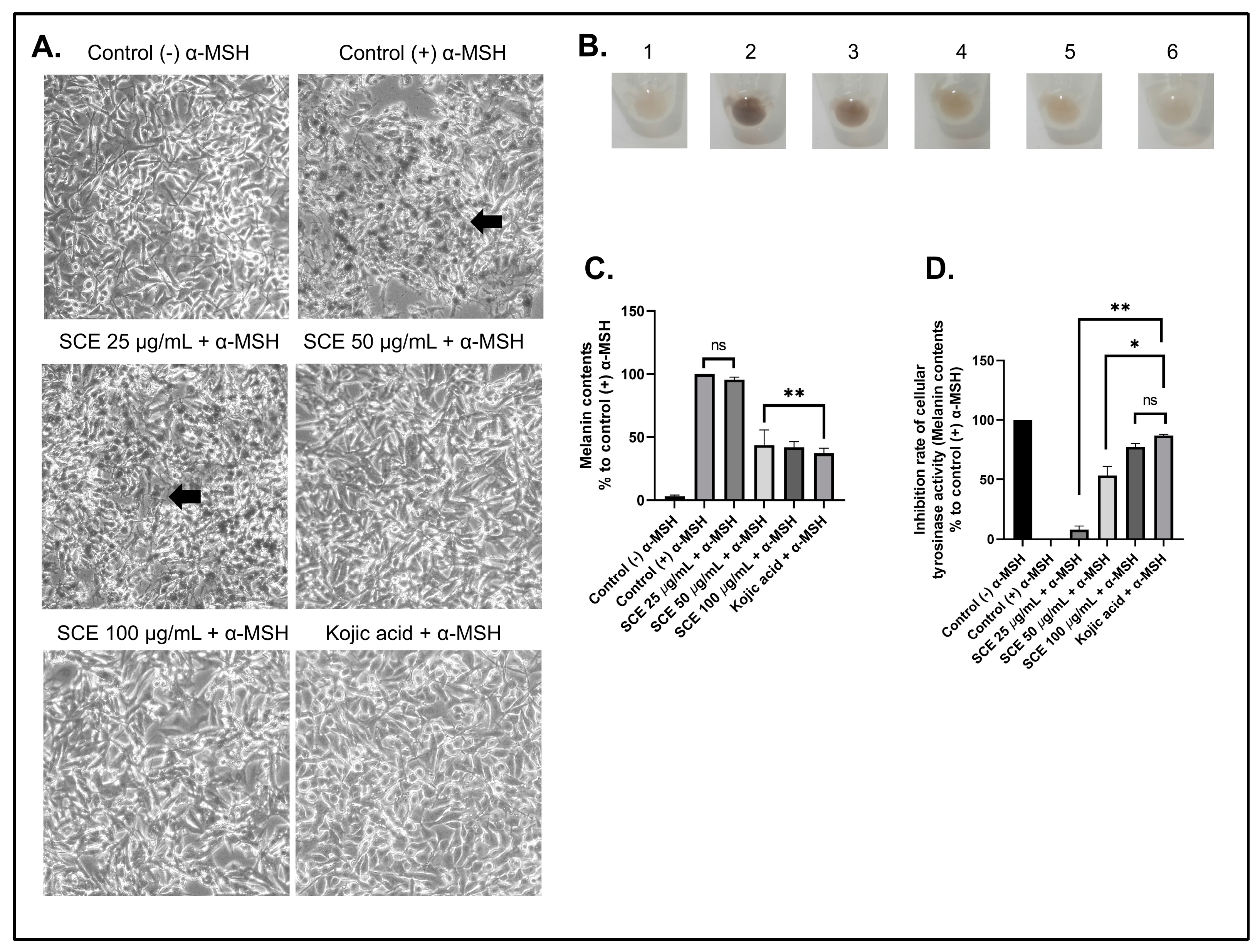 Molecules 27 08585 g003 Molecules 27 08585 g003