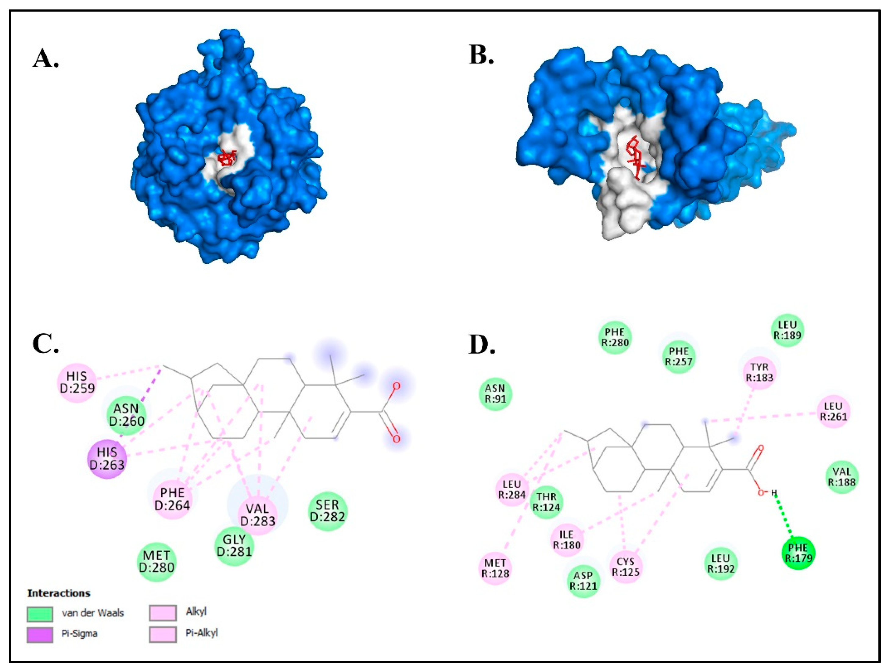 Molecules 27 08585 g004 Molecules 27 08585 g004