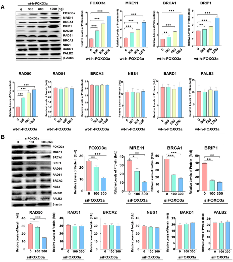 Molecules 27 08623 g001
