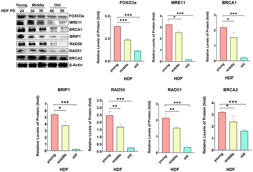 Molecules 27 08623 g002