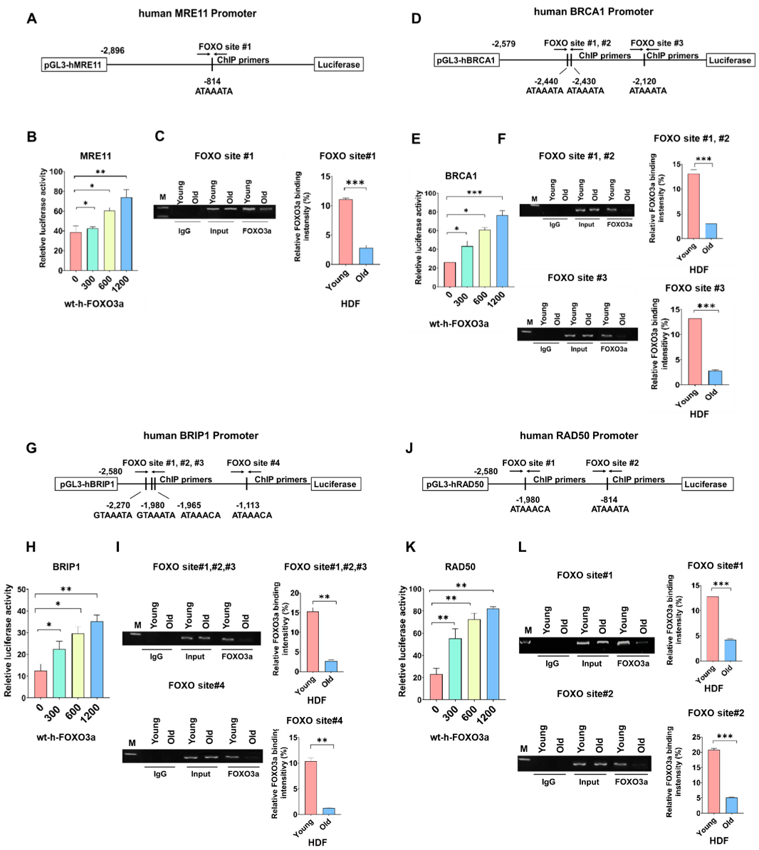 Molecules 27 08623 g003