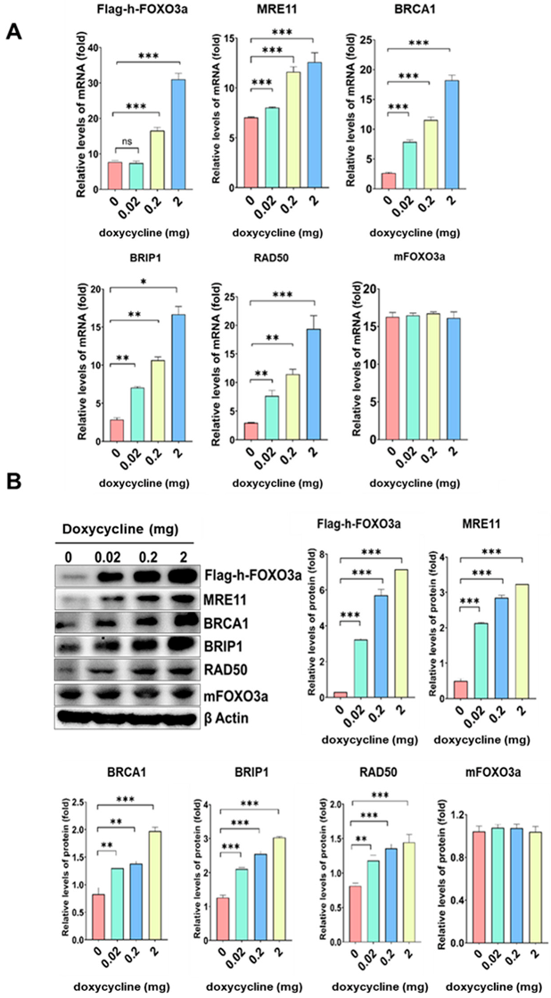 Molecules 27 08623 g004