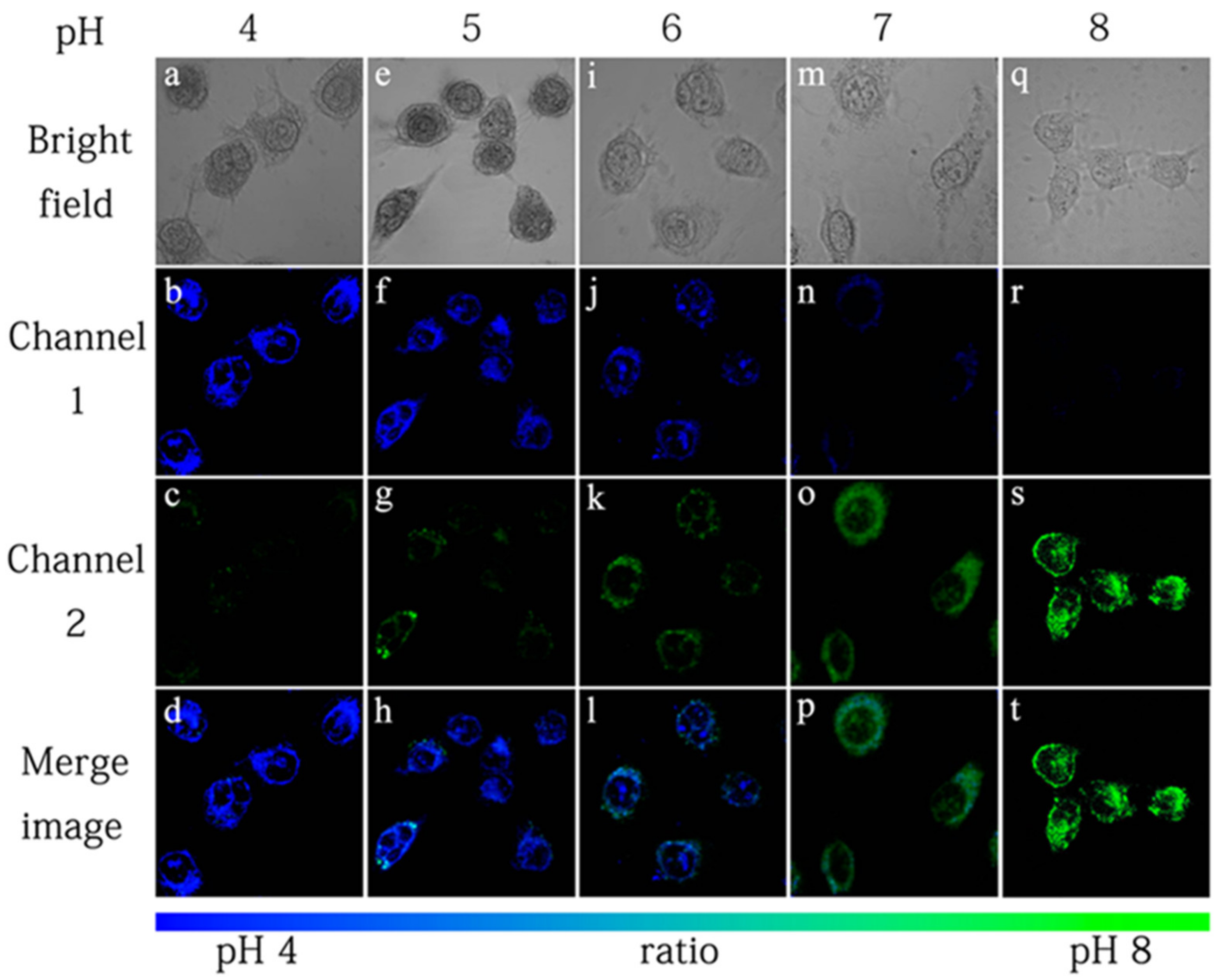 Molecules | Free Full-Text | Recent Advances In Excimer-Based ...