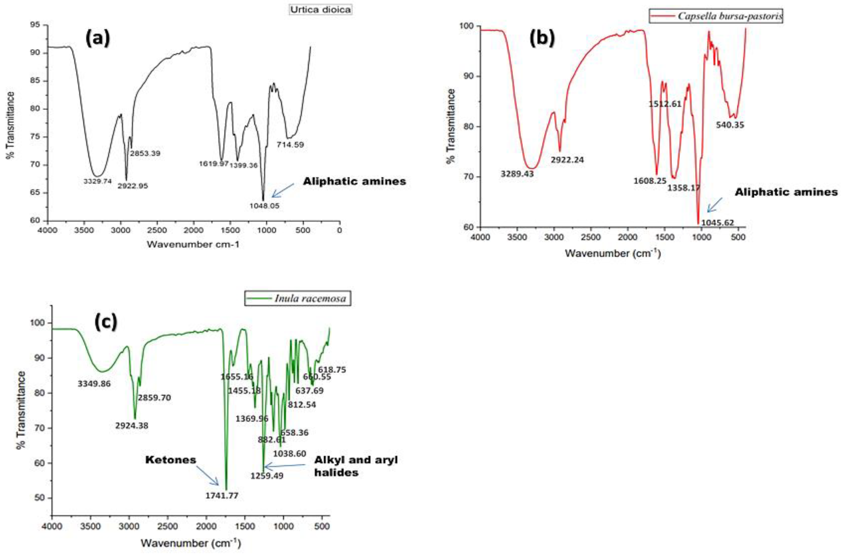 Molecules 27 08629 g005 Molecules 27 08629 g005