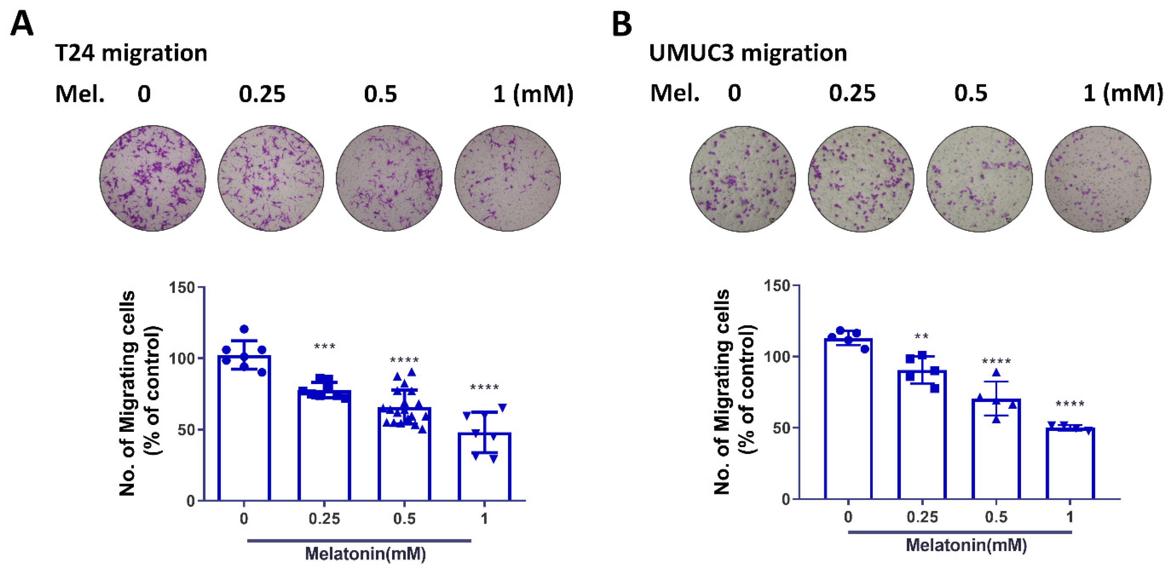 Molecules 27 08649 g002a