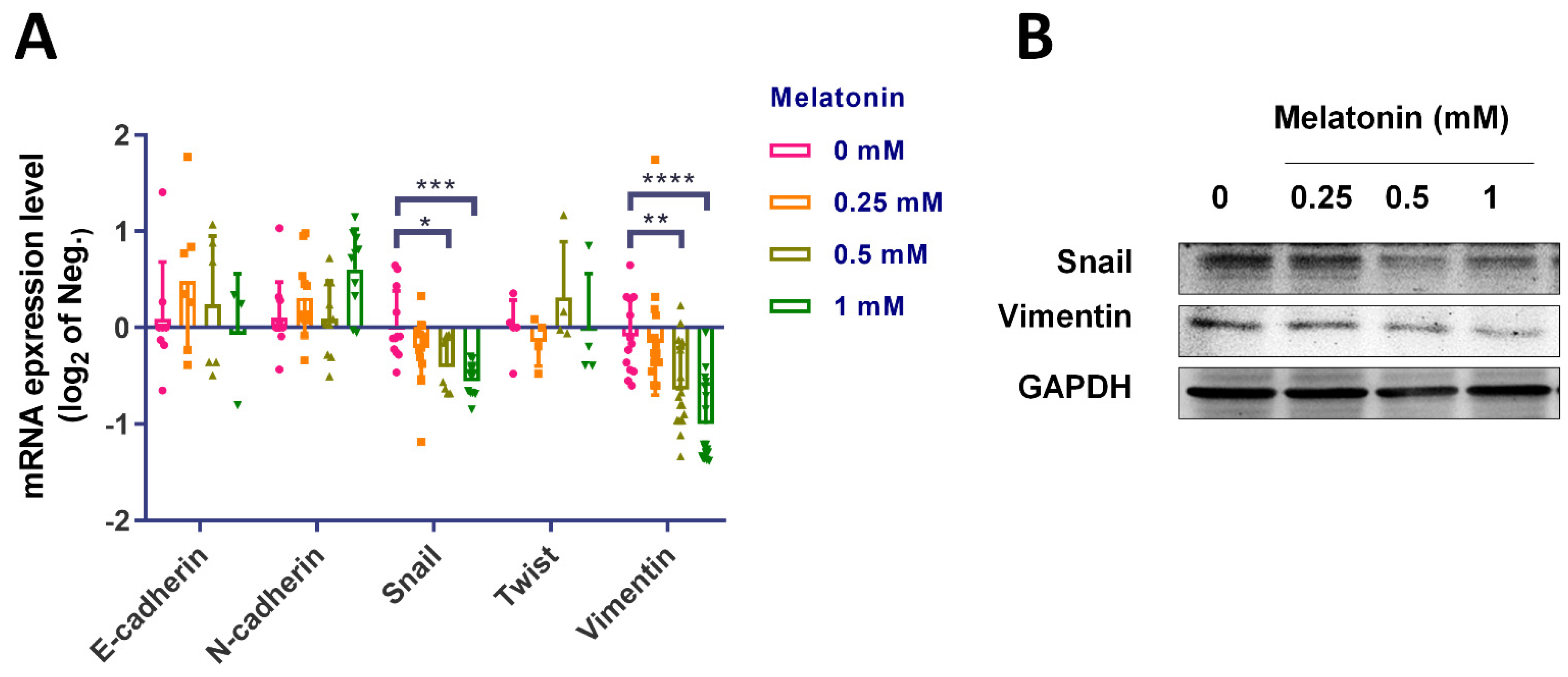 Molecules 27 08649 g003