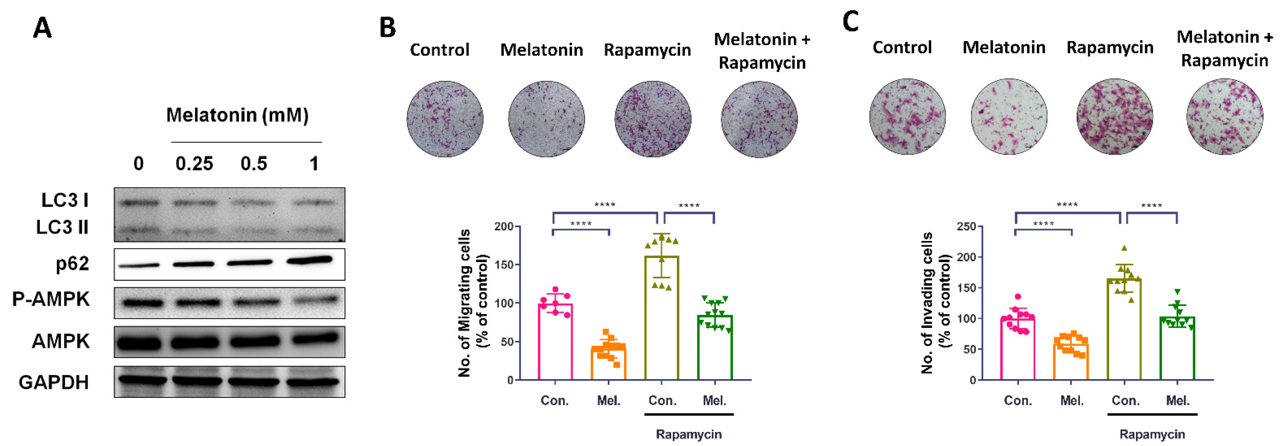Molecules 27 08649 g004