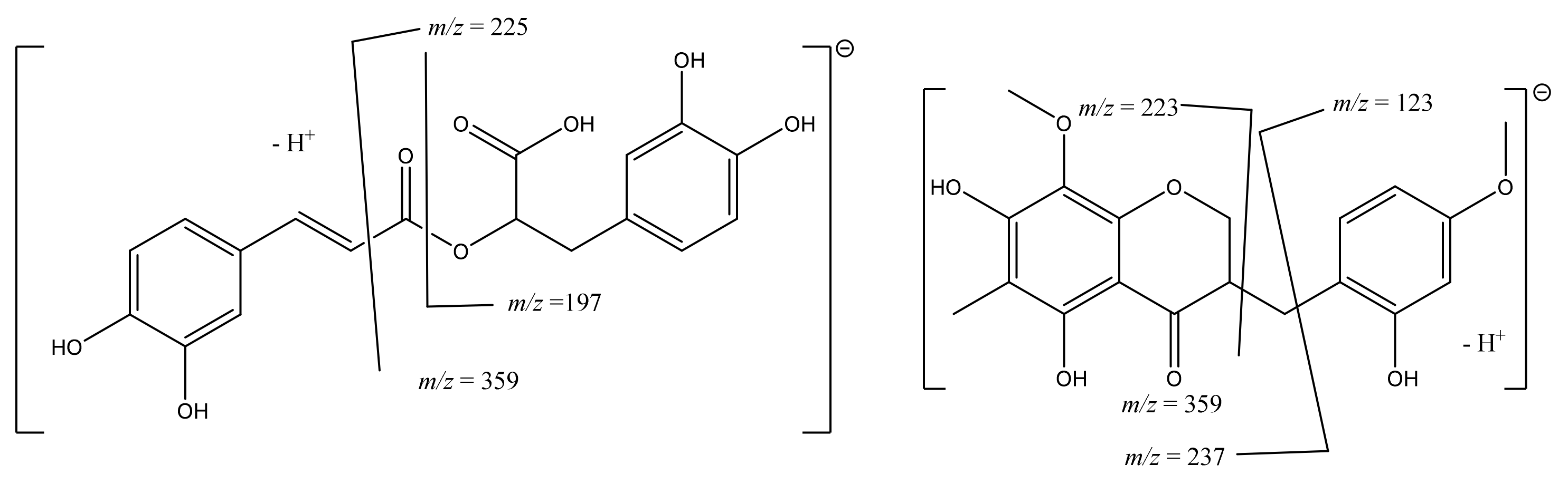 Molecules 27 08657 g003