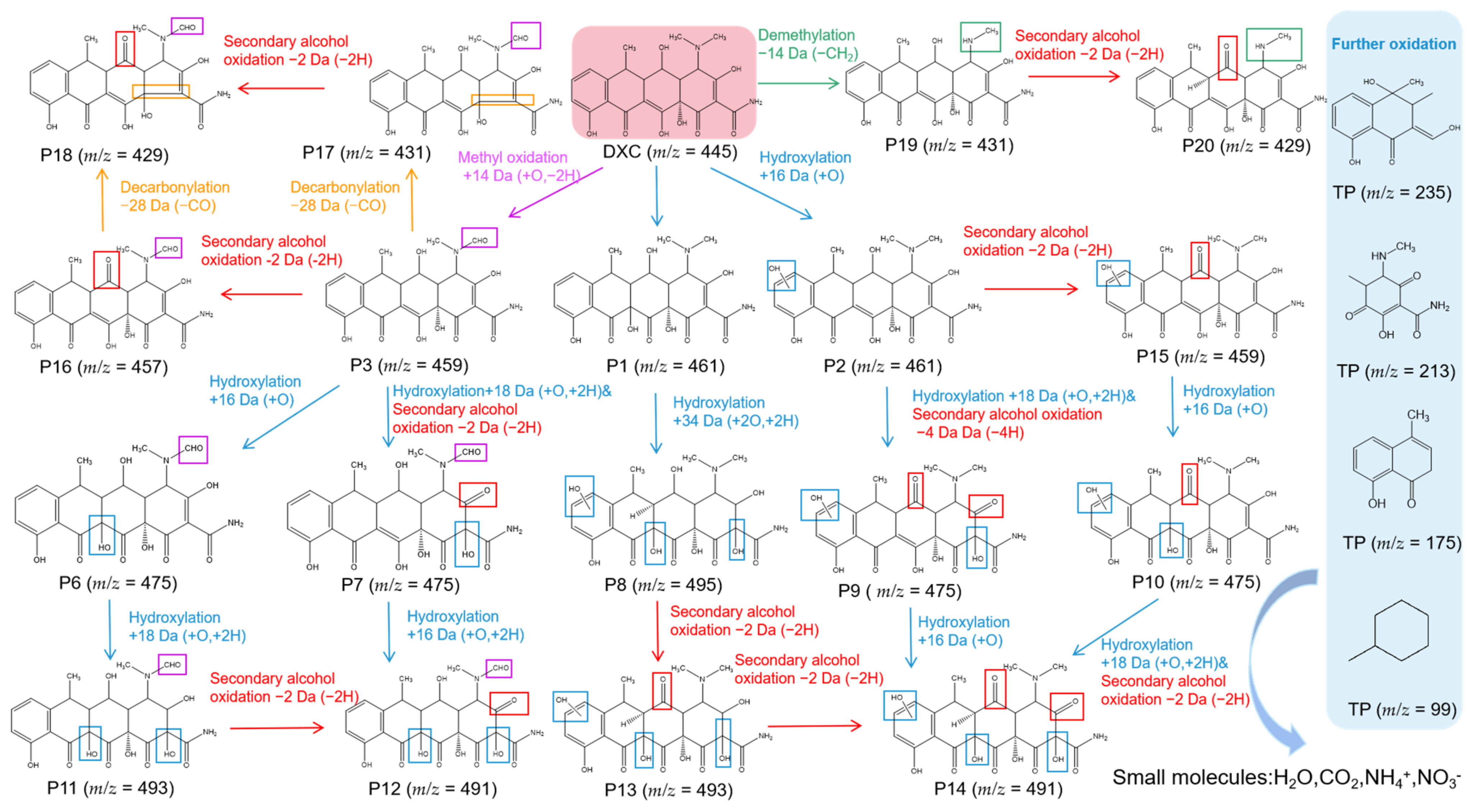 Molecules 27 08660 g006 Molecules 27 08660 g006
