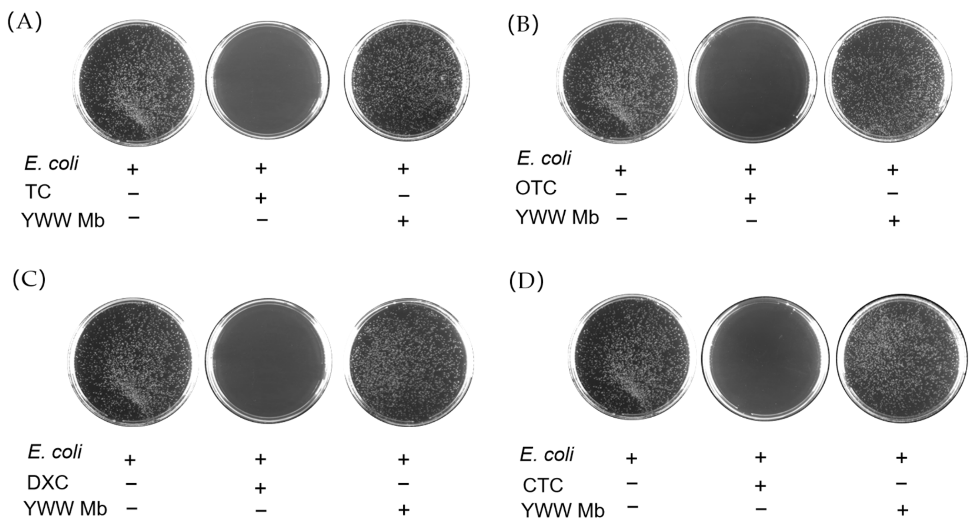 Molecules 27 08660 g007 Molecules 27 08660 g007
