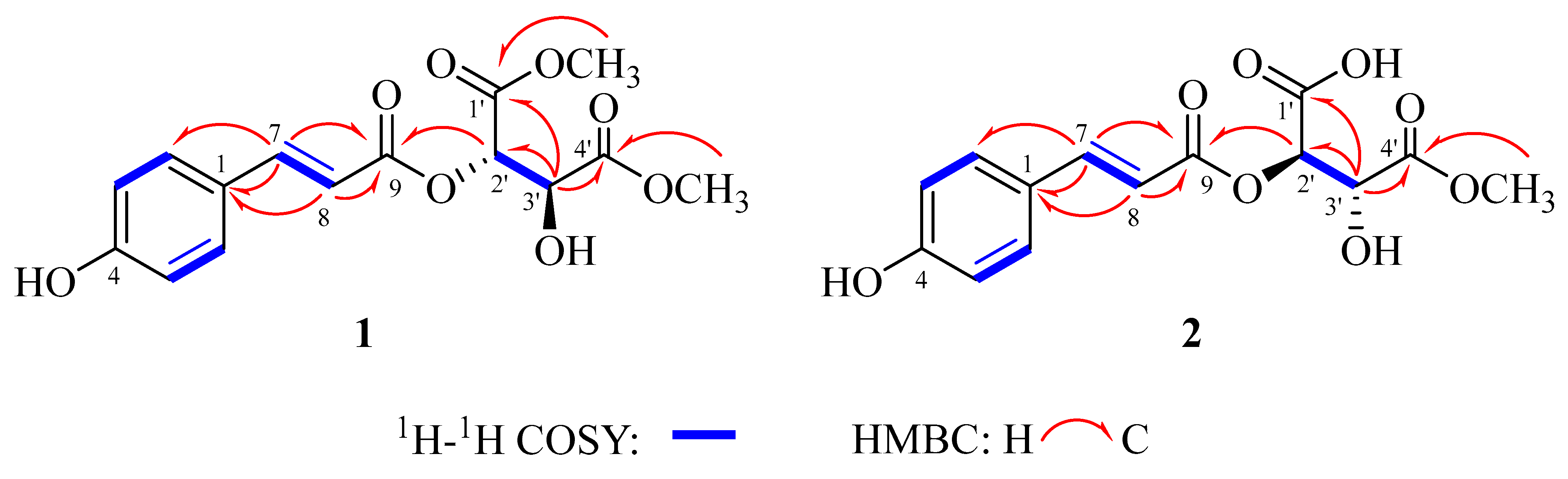 Molecules 27 08667 g002