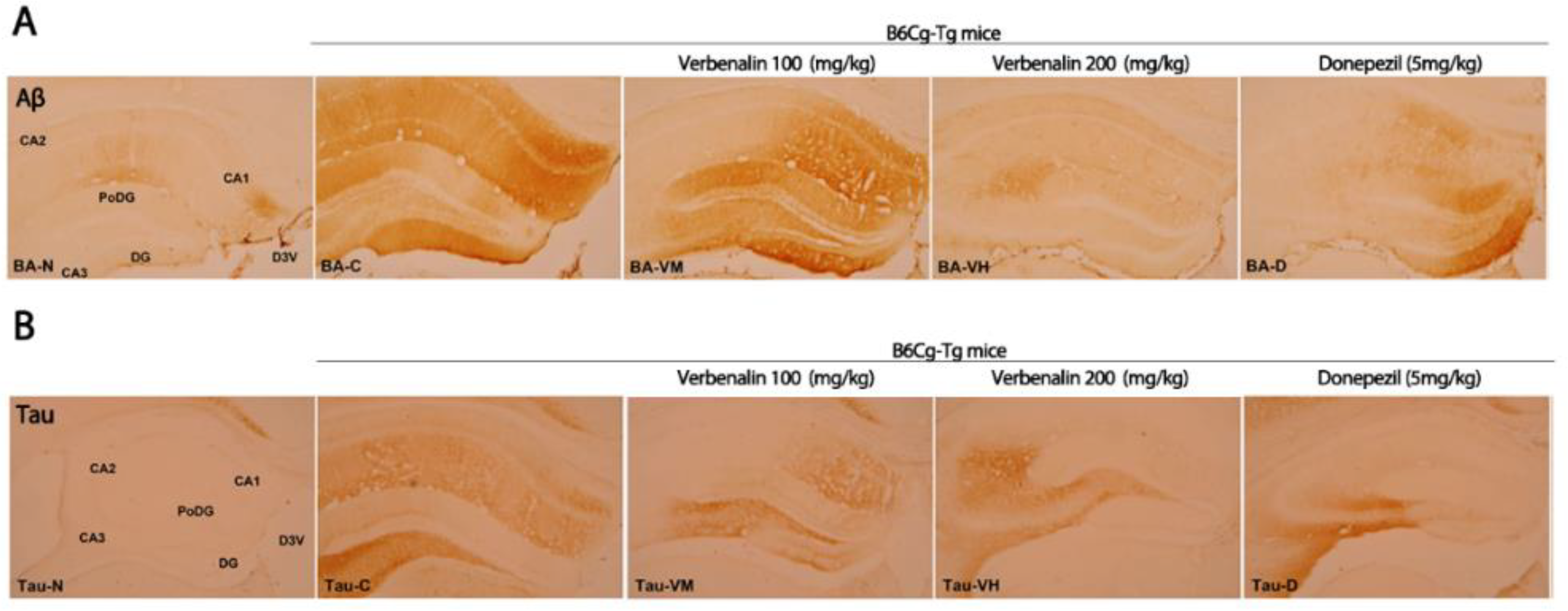 Molecules 27 08678 g003 Molecules 27 08678 g003