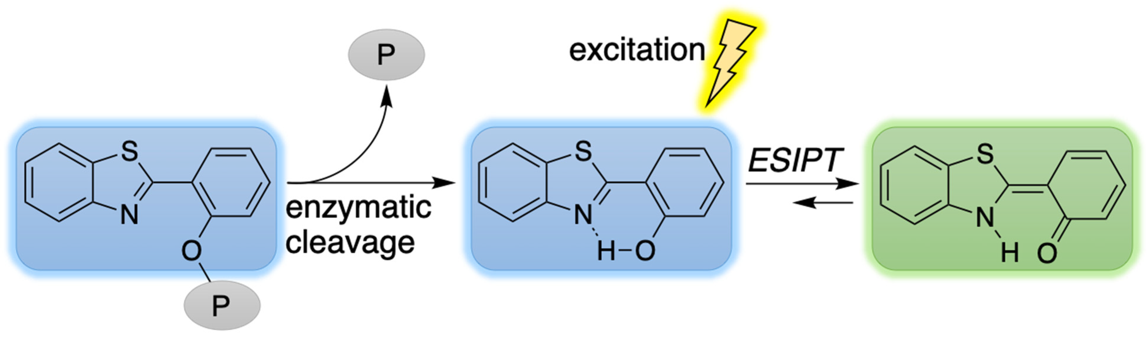 Molecules 27 08682 g004
