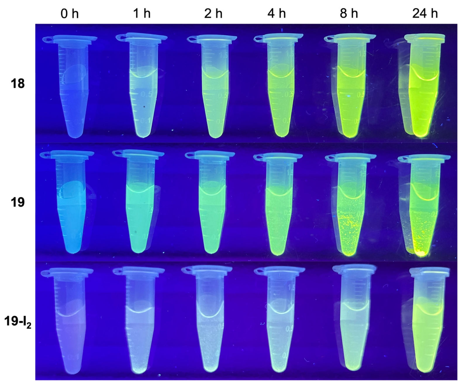 Molecules 27 08682 g008