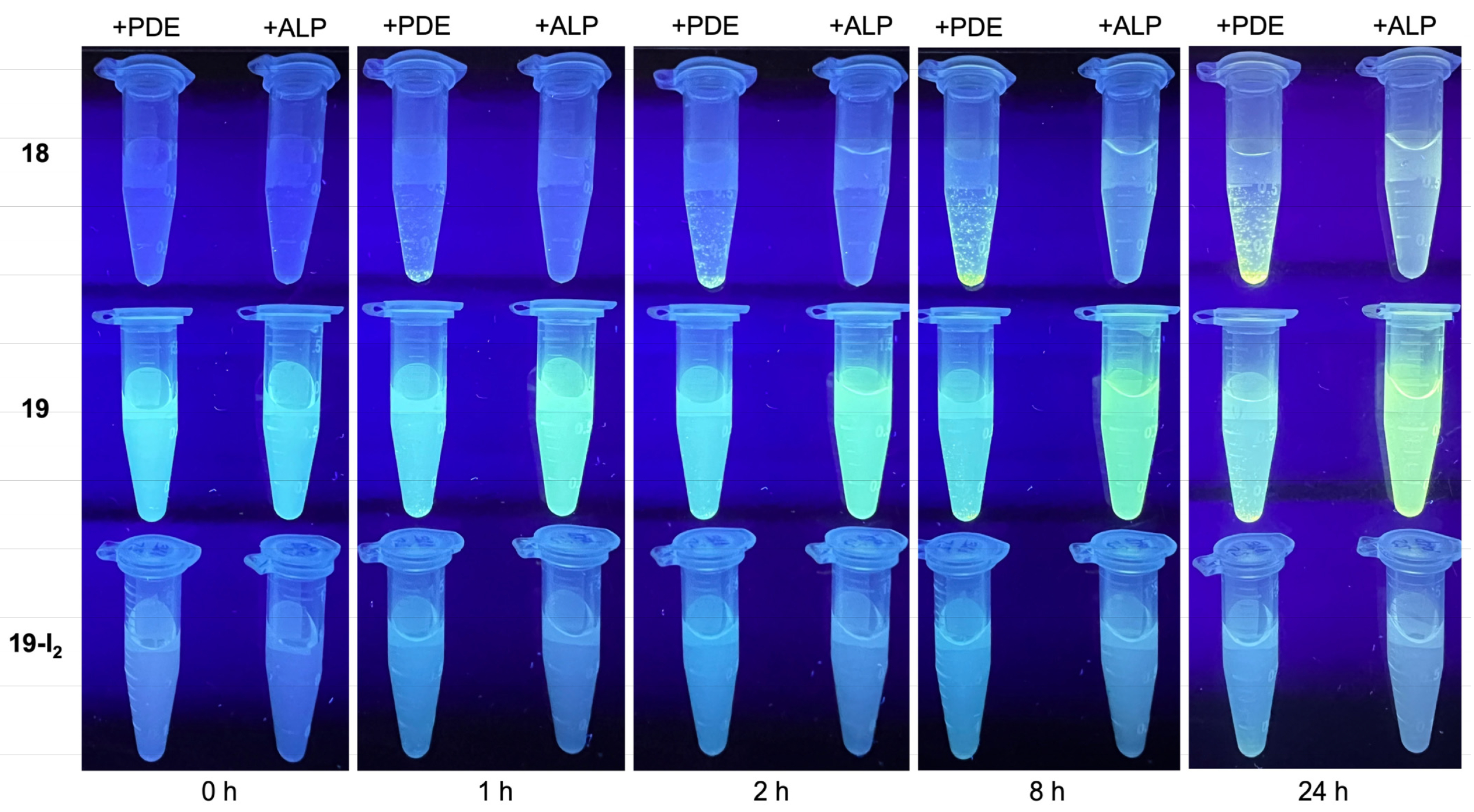 Molecules 27 08682 g0a3